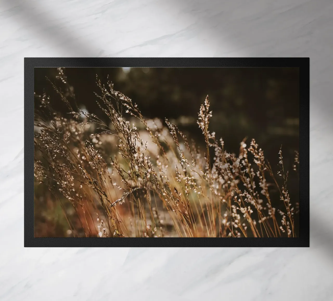 Sunshower zerbino da Morgan Kendall