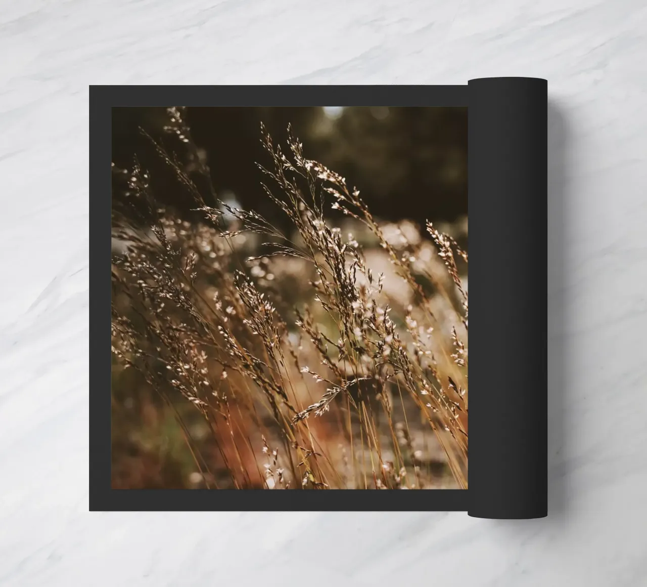 Sunshower zerbino da Morgan Kendall