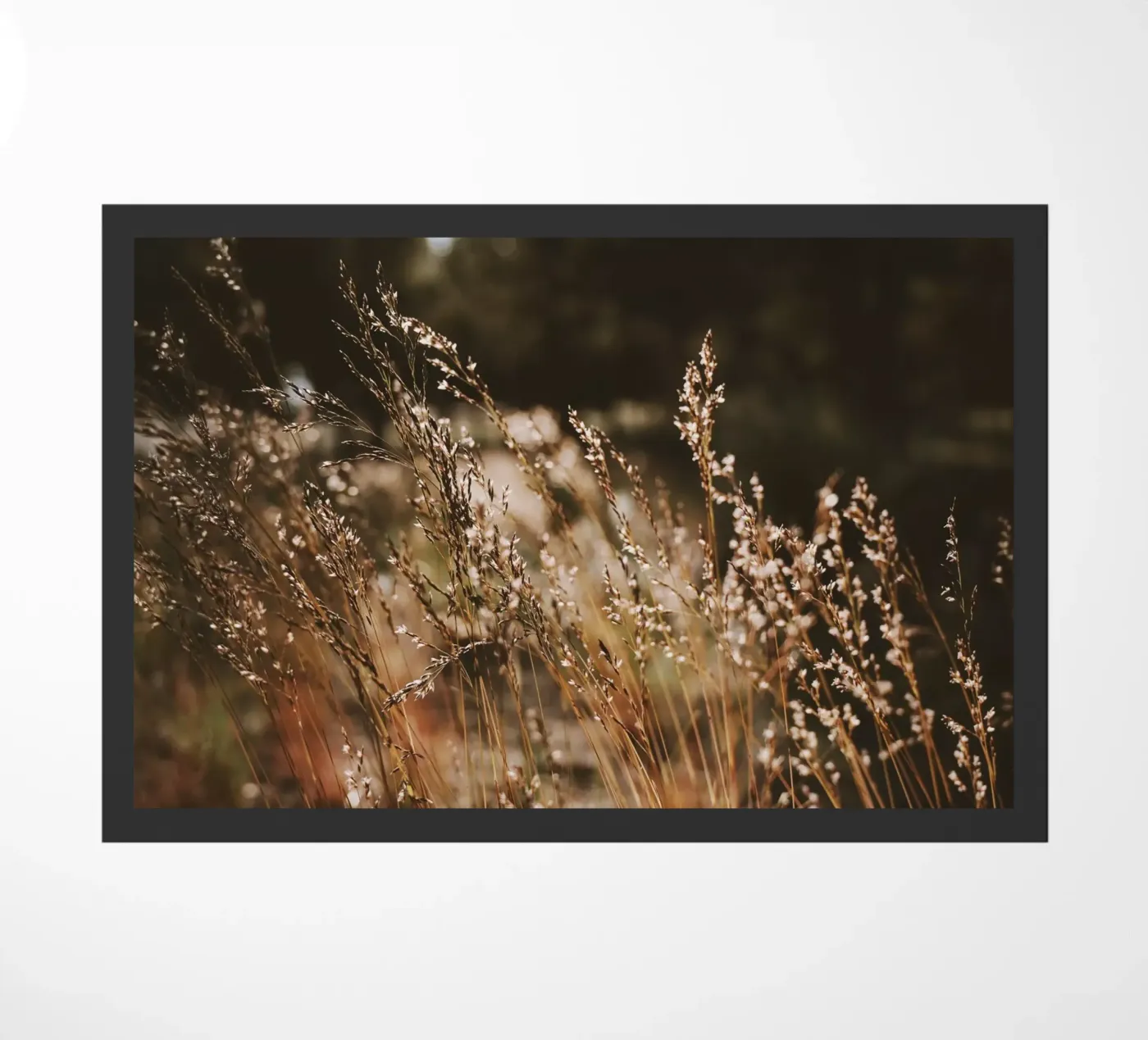 Sunshower Fußmatte von Morgan Kendall