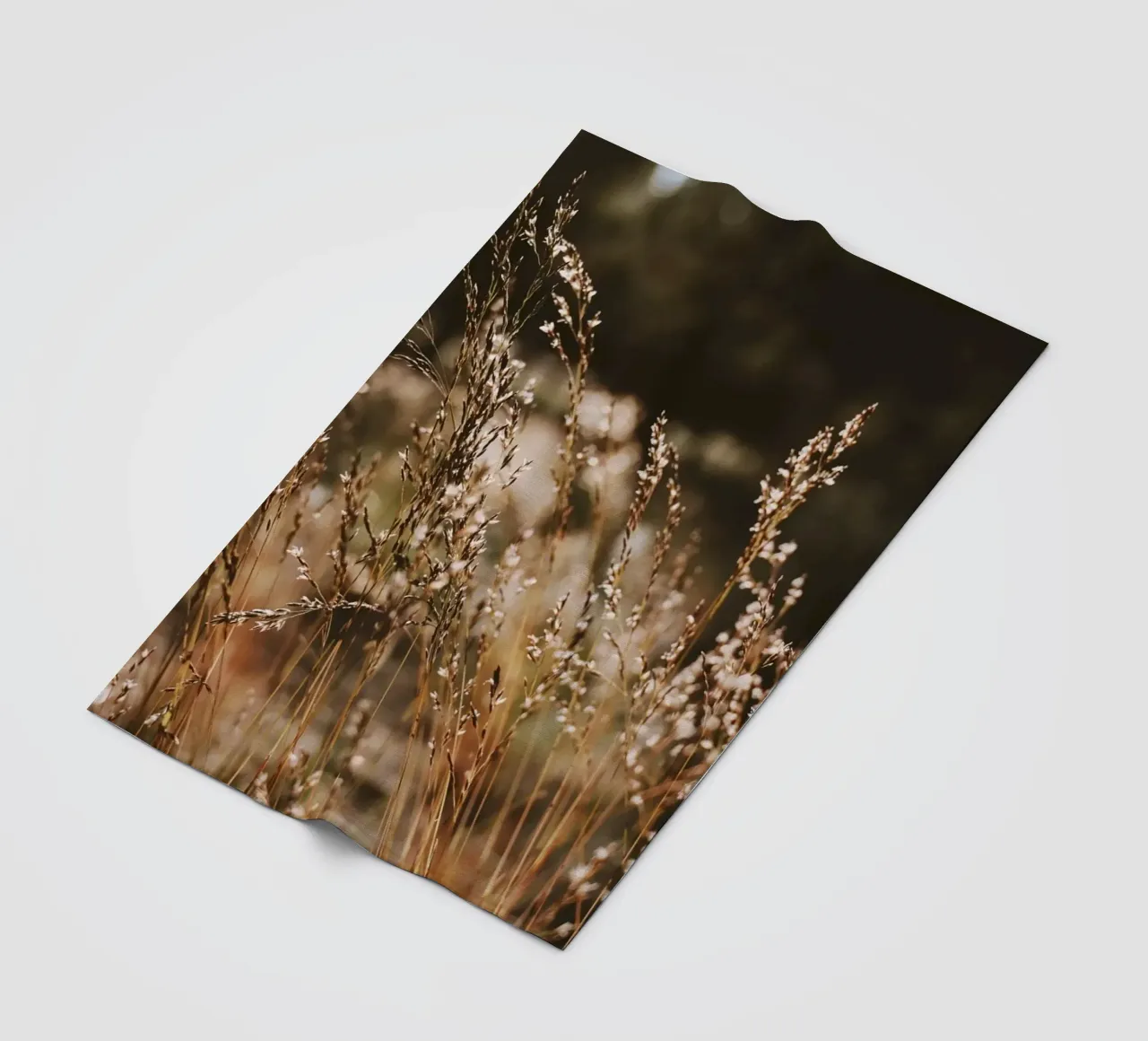 Sunshower Fleecedecke von Morgan Kendall