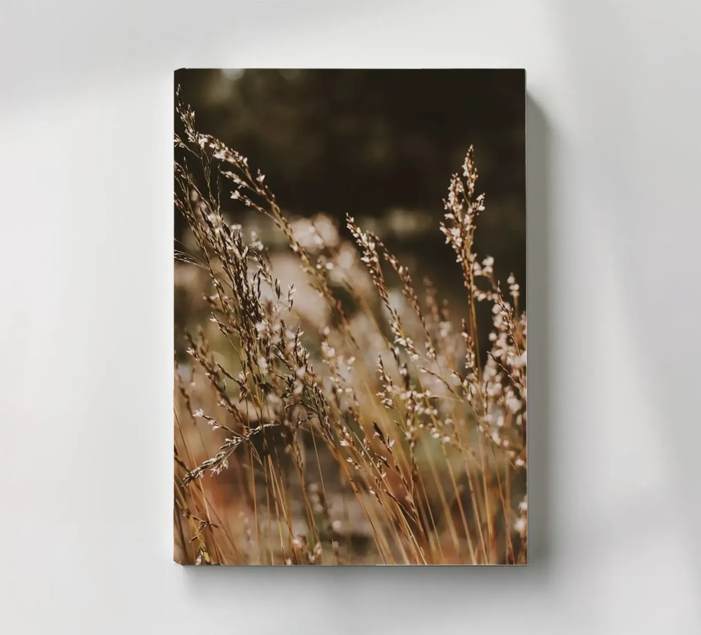 Sunshower notebook by Morgan Kendall