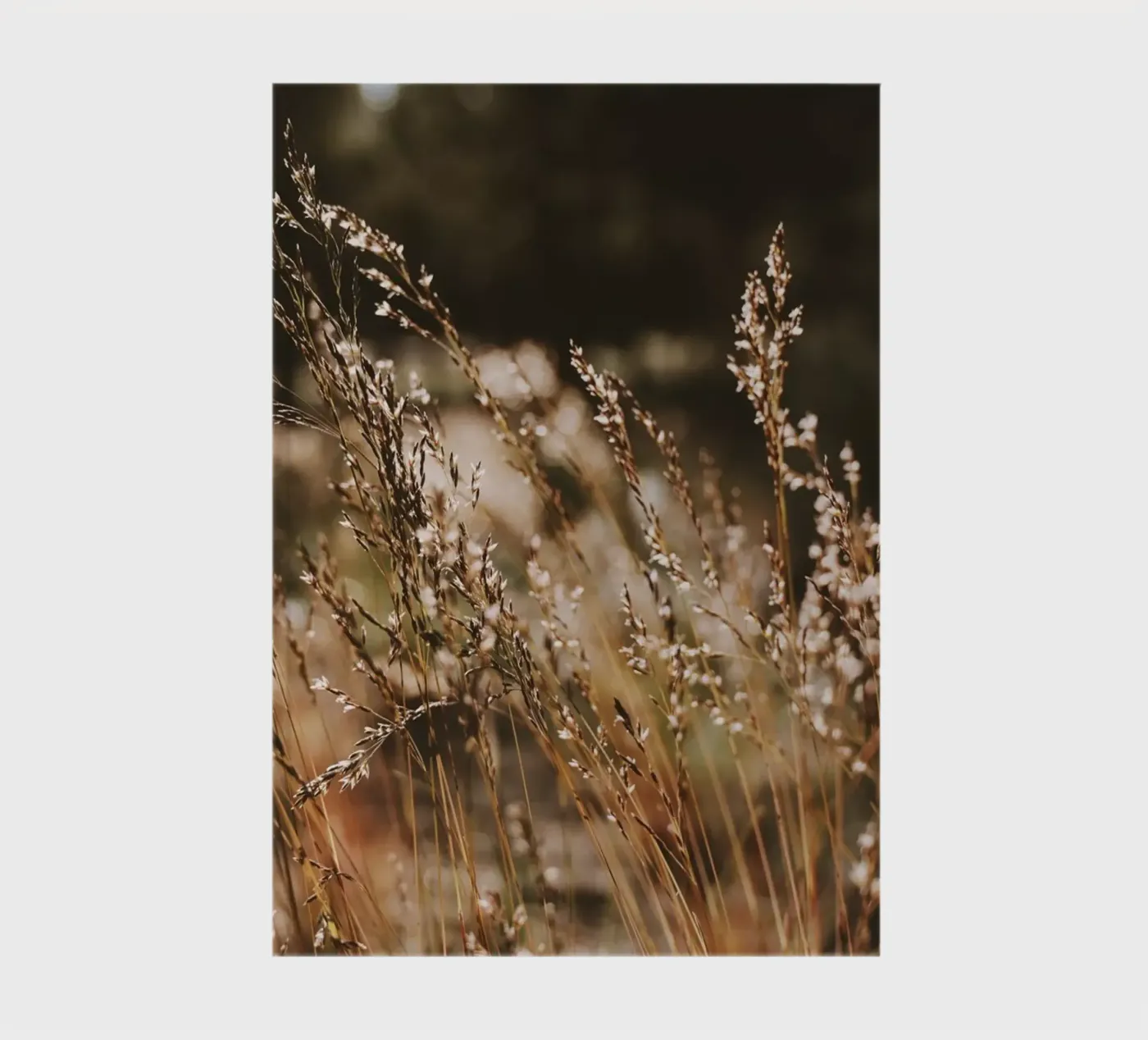 Sunshower notebook by Morgan Kendall
