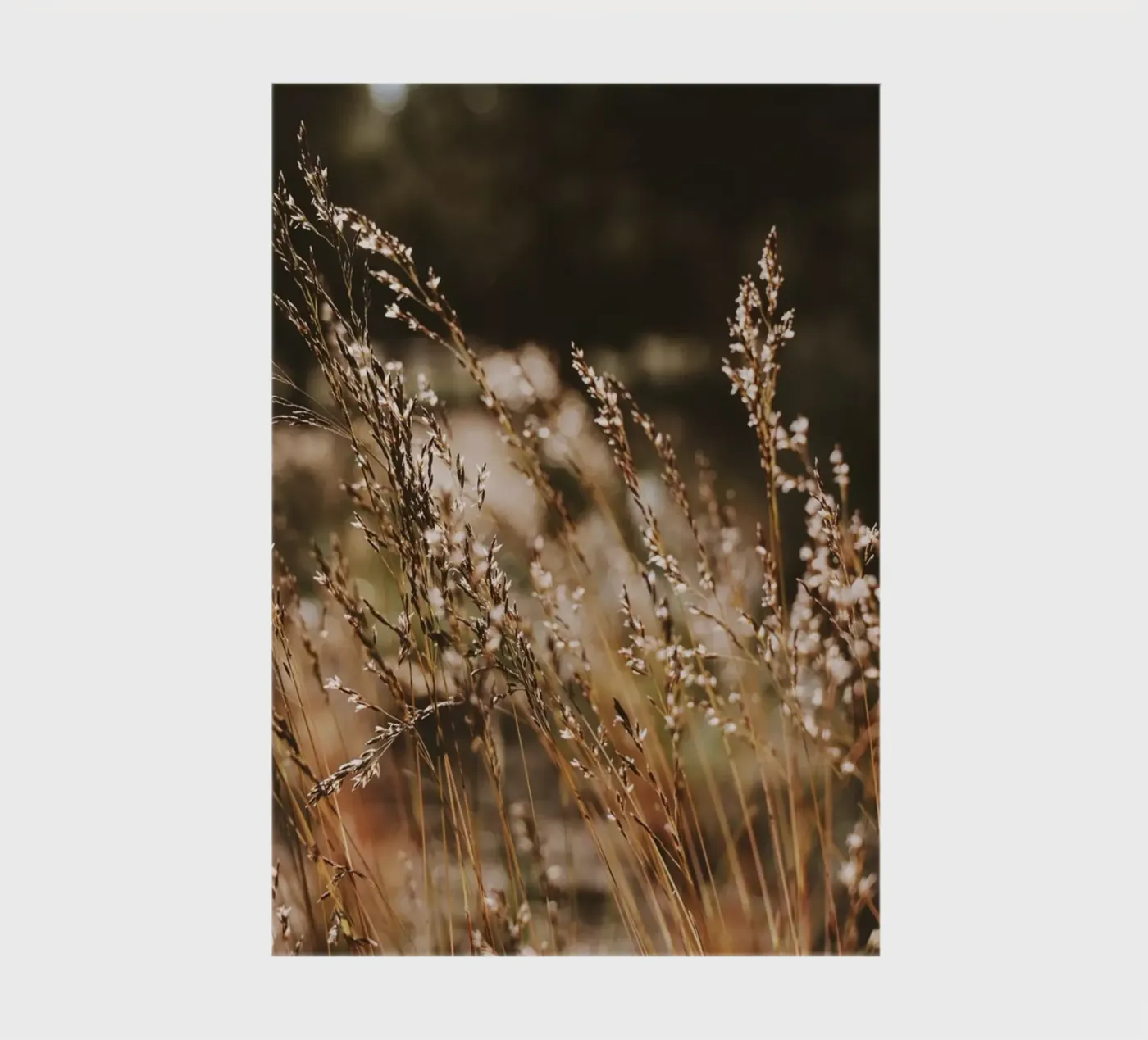 Sunshower notebook by Morgan Kendall