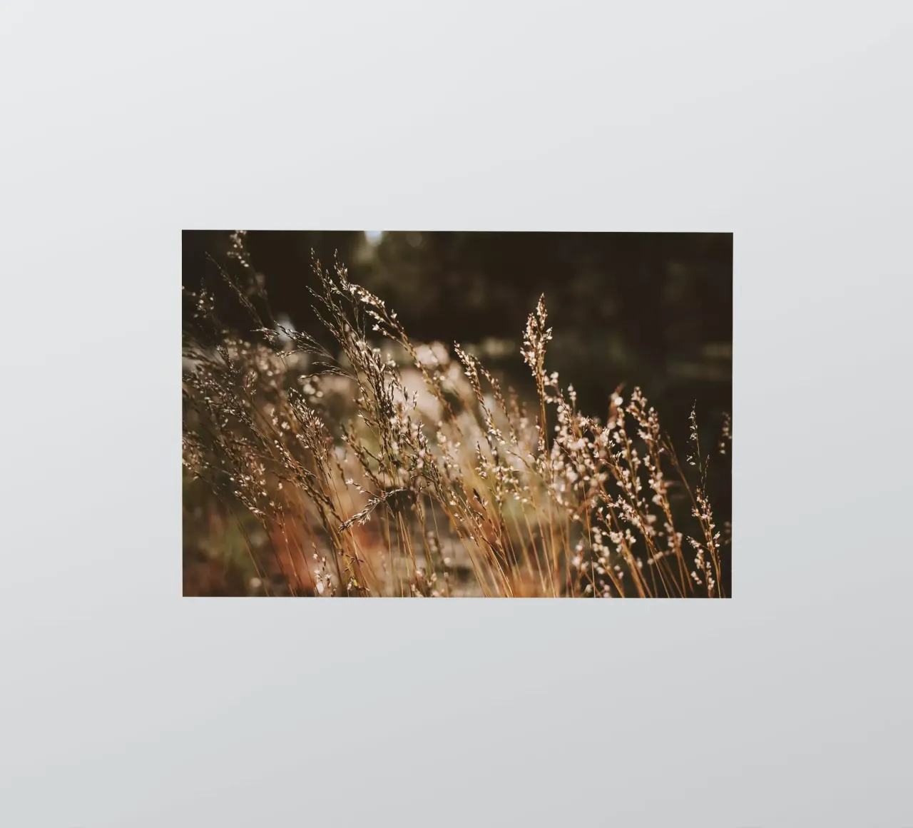 Sunshower sticker van Morgan Kendall