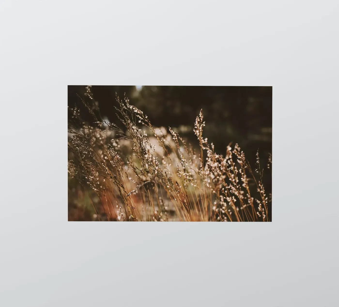 Sunshower sticker by Morgan Kendall