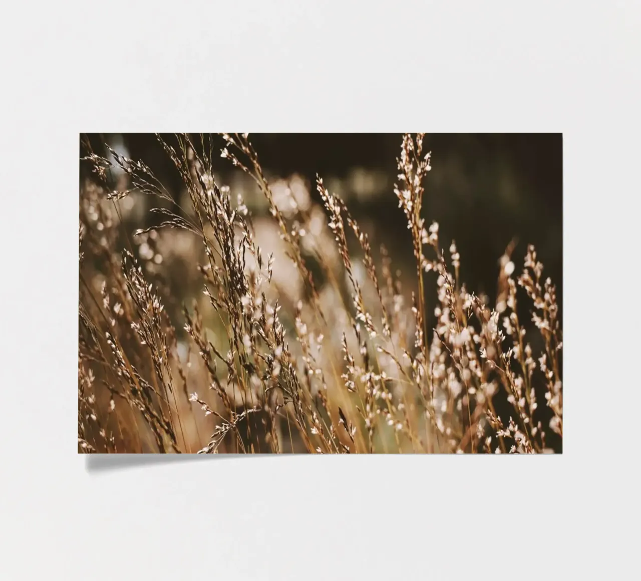 Sunshower sticker sheet by Morgan Kendall