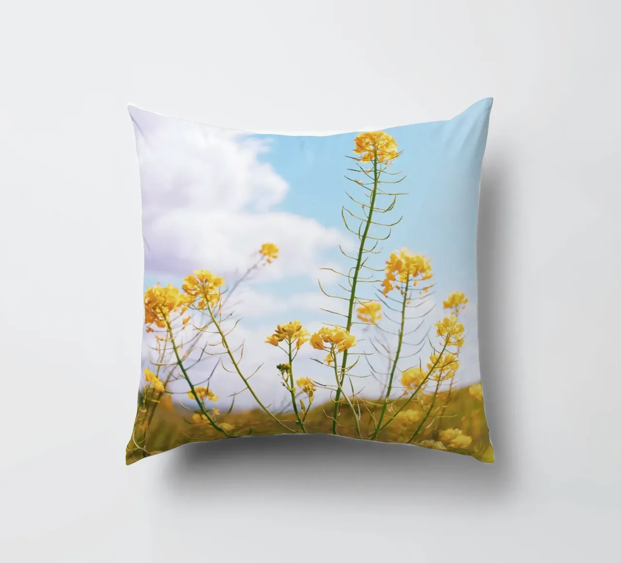 Mellow Yellow cuscino da Morgan Kendall