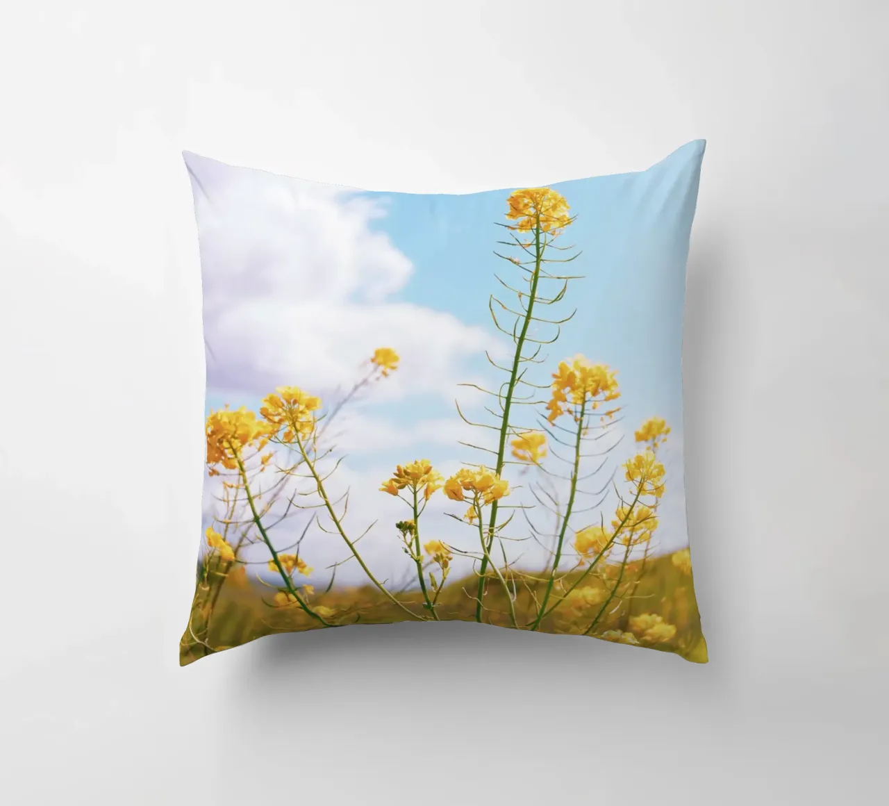 Mellow Yellow cuscino da Morgan Kendall