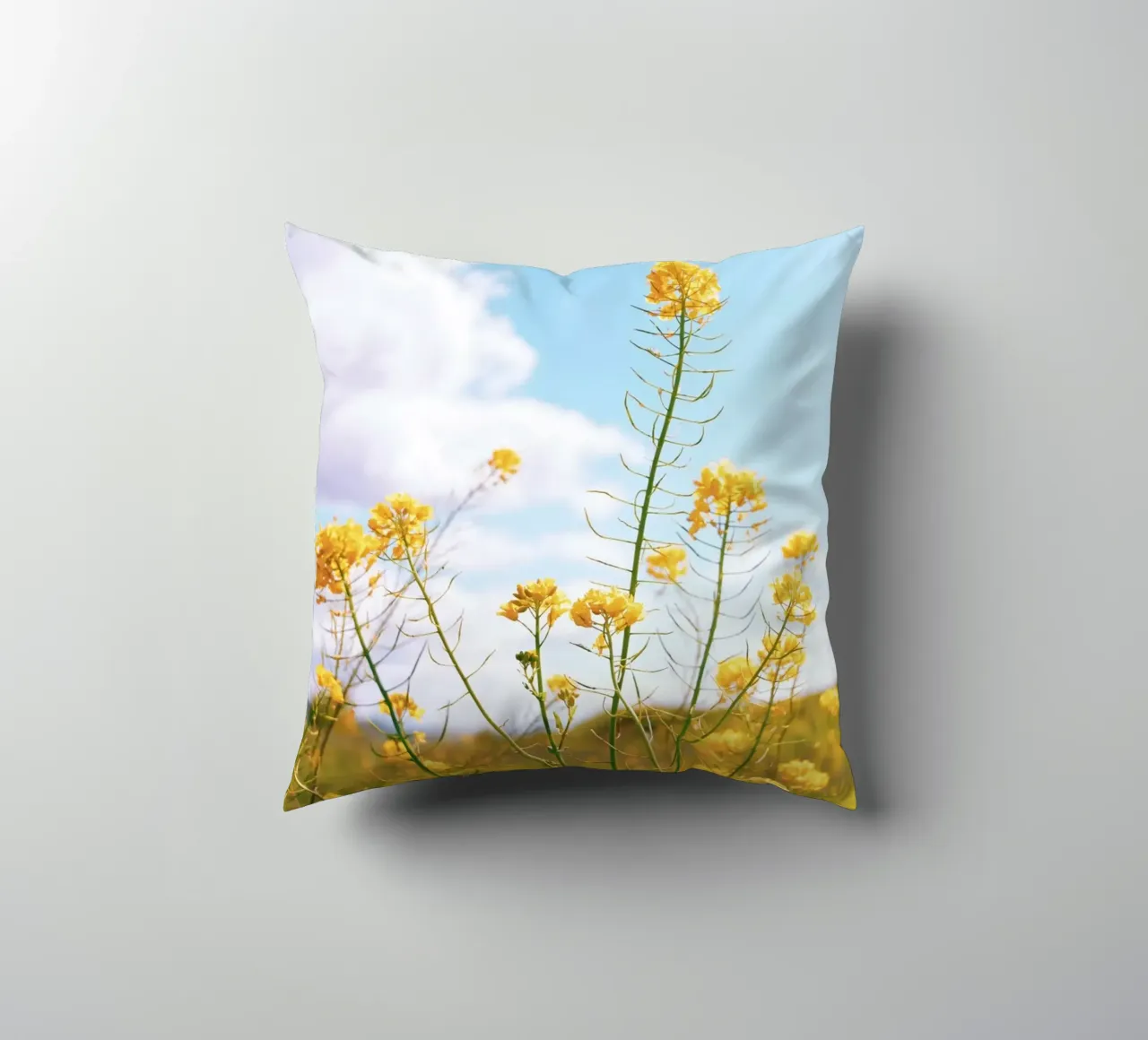 Mellow Yellow cuscino da Morgan Kendall