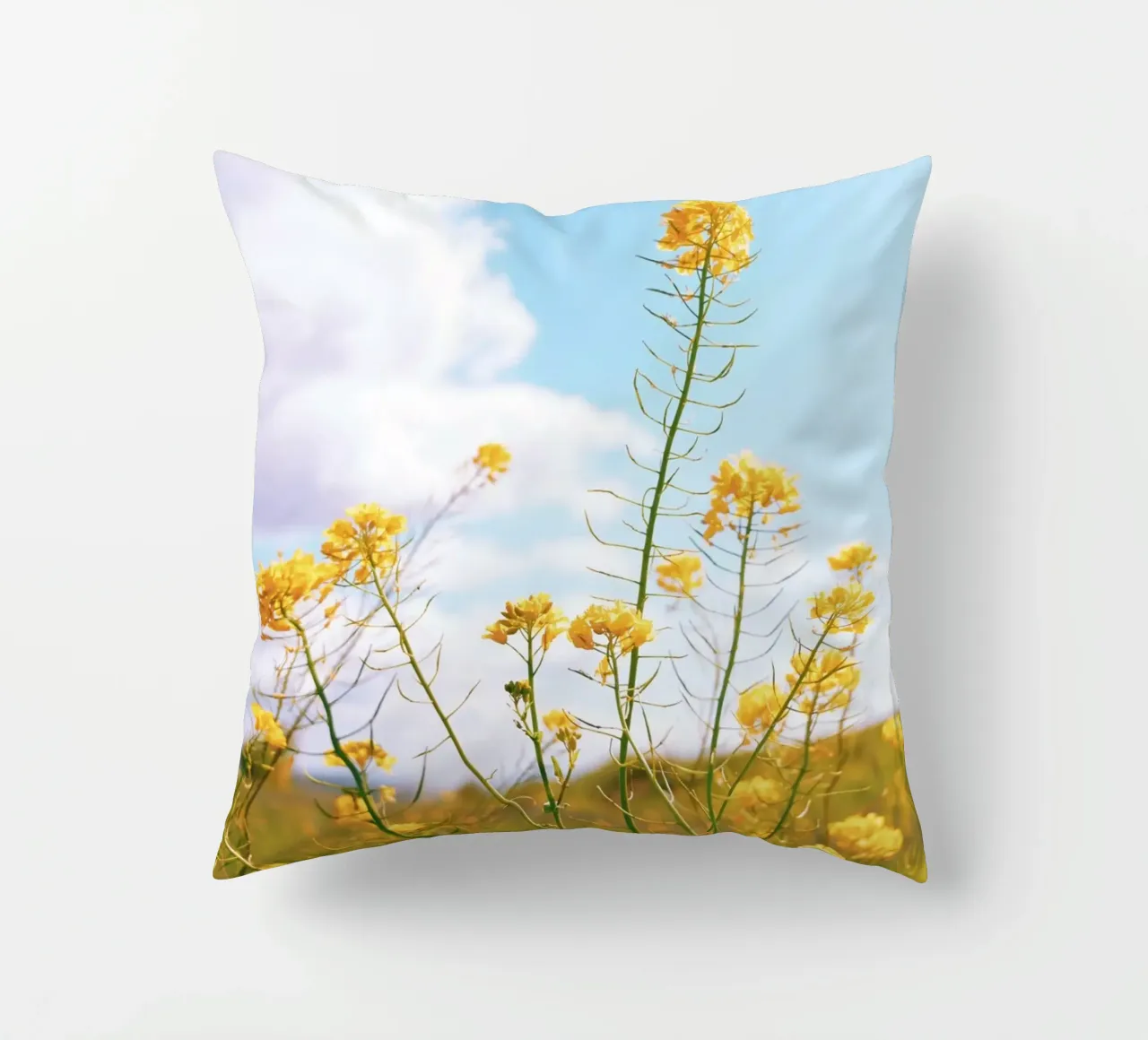 Mellow Yellow cuscino da Morgan Kendall