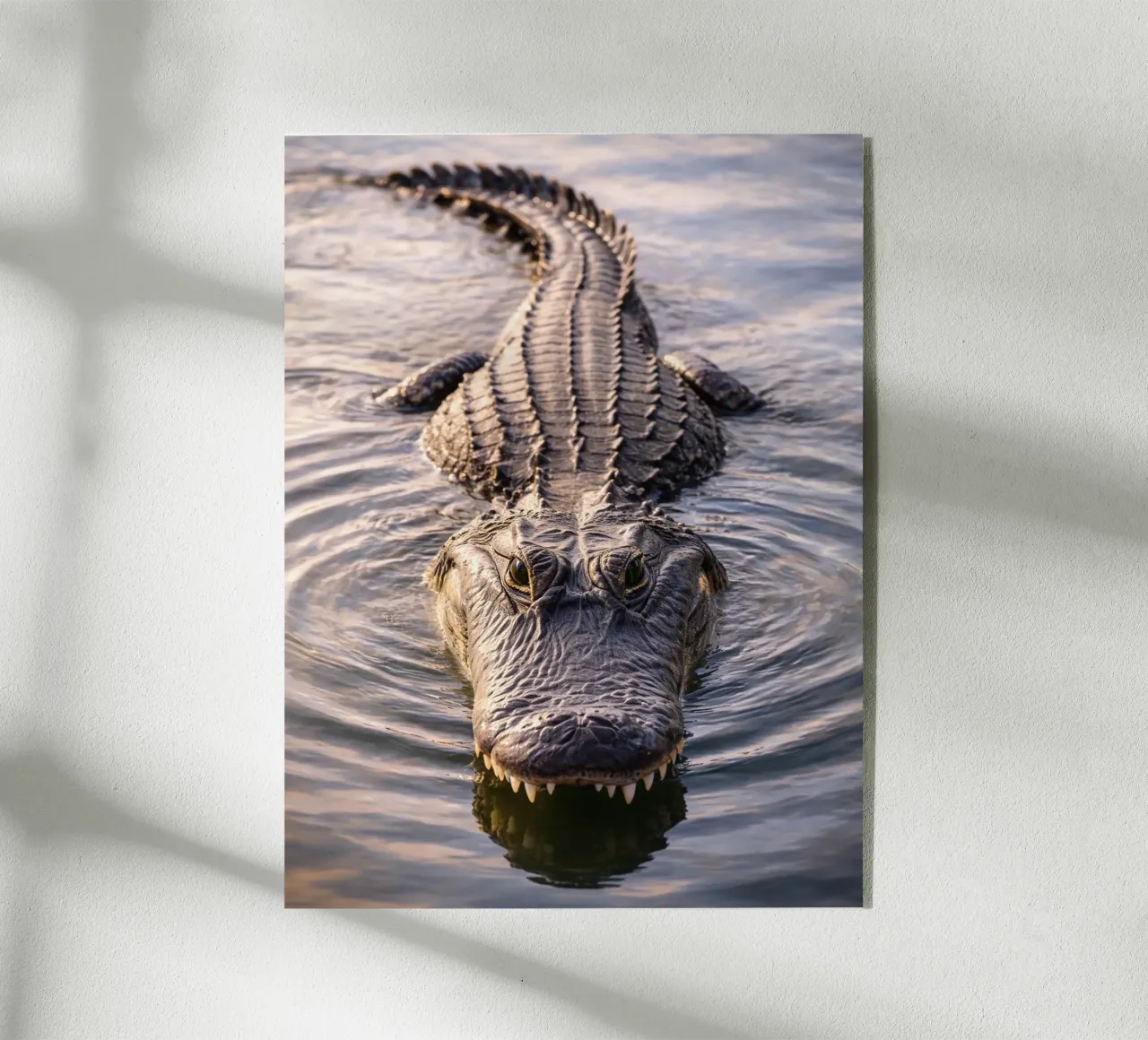 alligator plexiglass da the gunduls