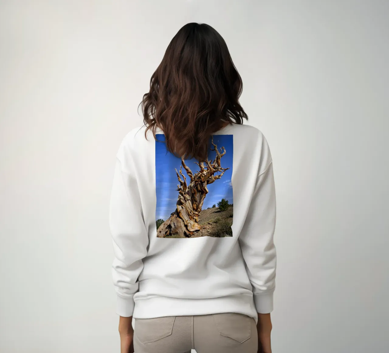 albero secco felpa da the gunduls