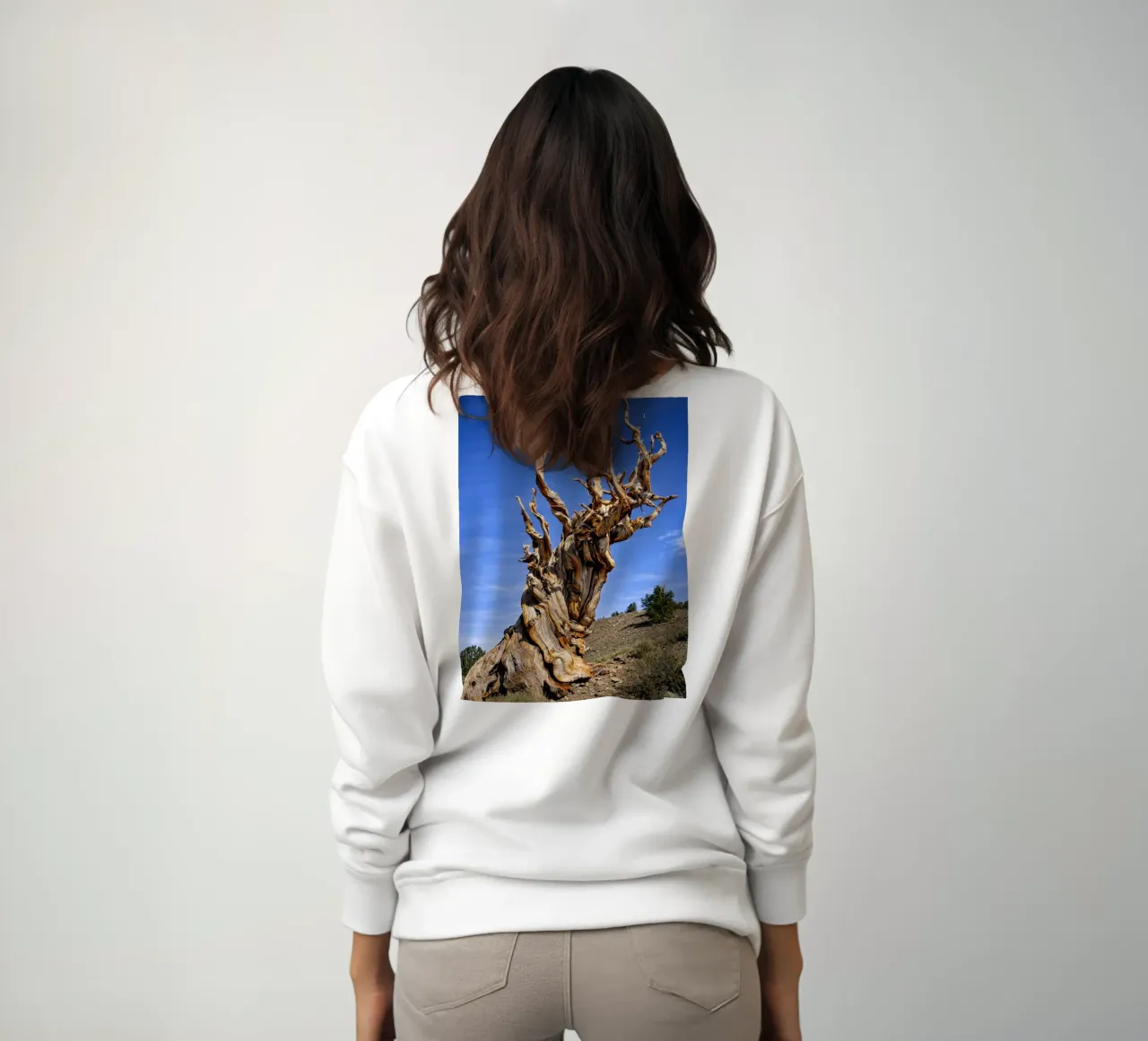 albero secco felpa da the gunduls