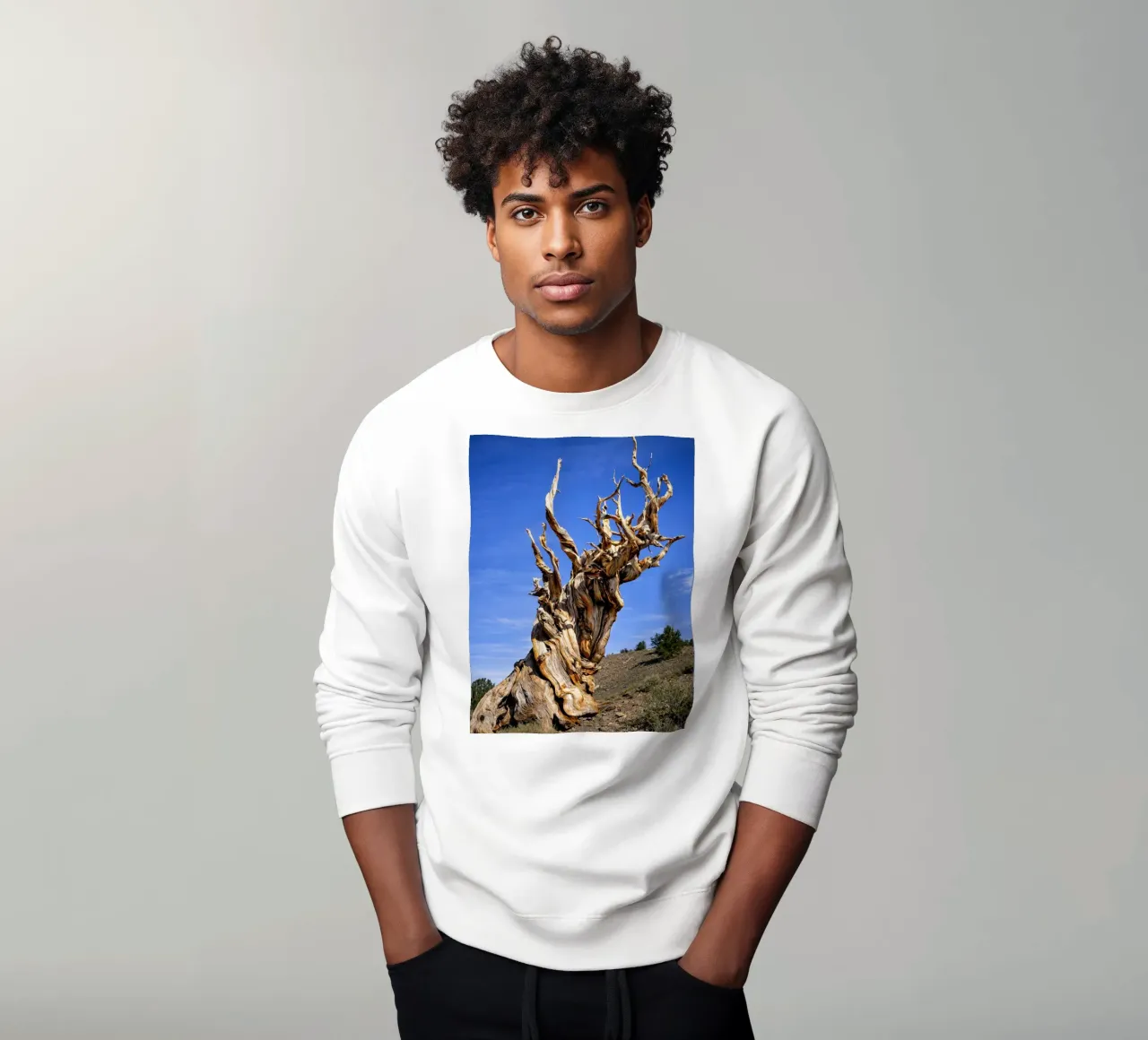 albero secco felpa da the gunduls