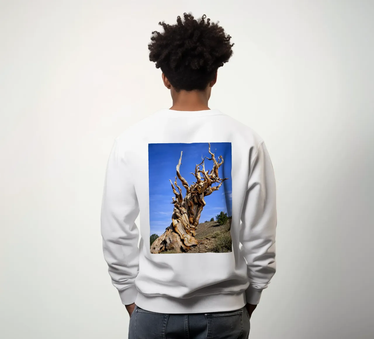 albero secco felpa da the gunduls