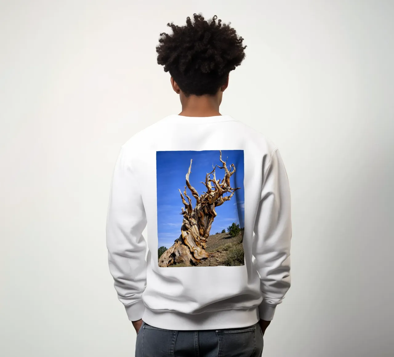 albero secco felpa da the gunduls