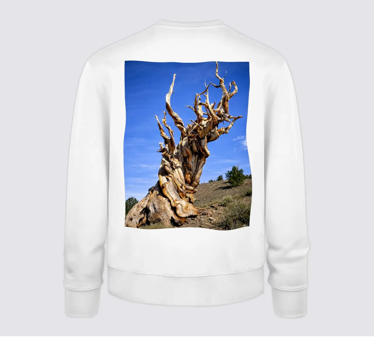 albero secco felpa da the gunduls