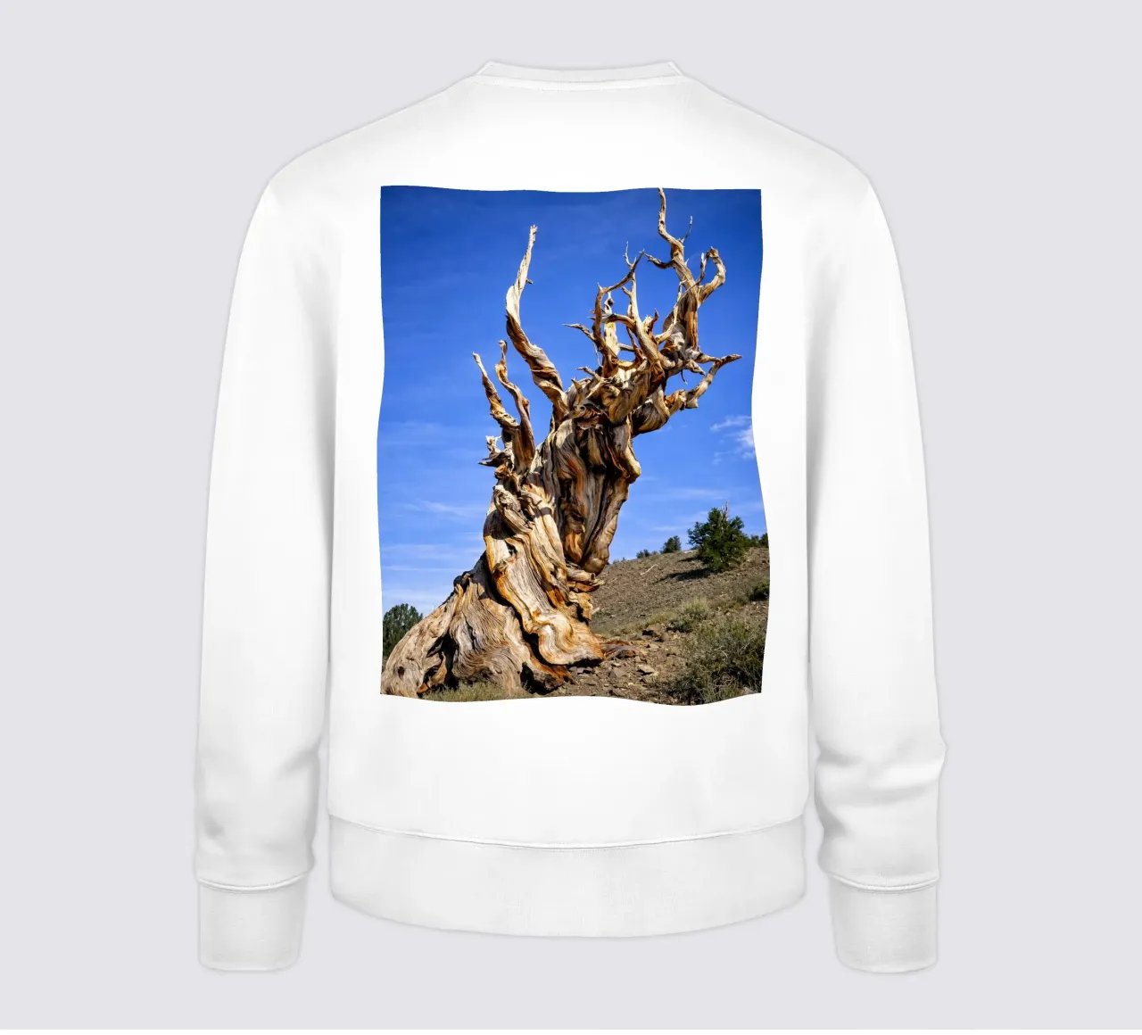 albero secco felpa da the gunduls