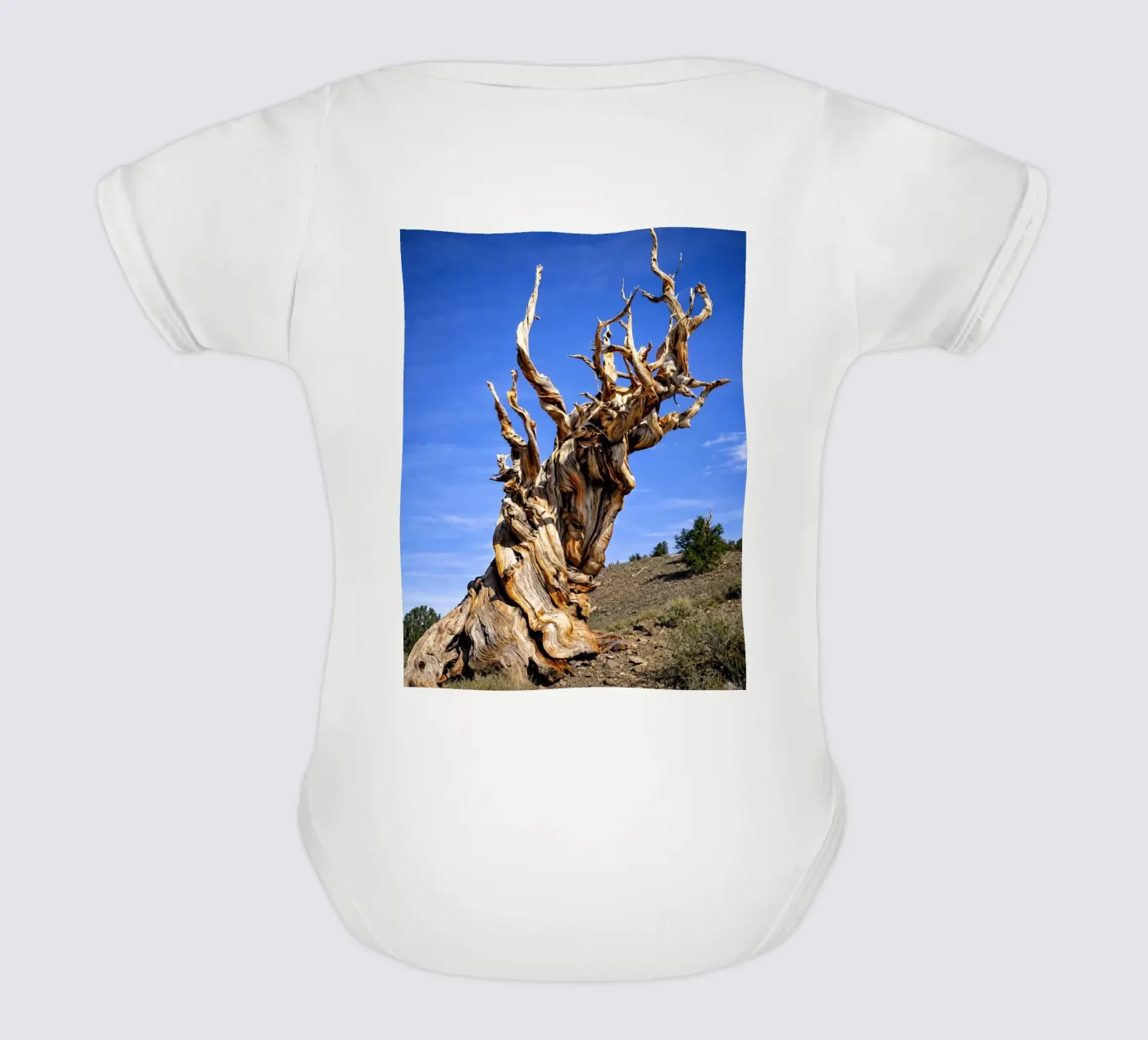 albero secco body neonato maniche corte da the gunduls