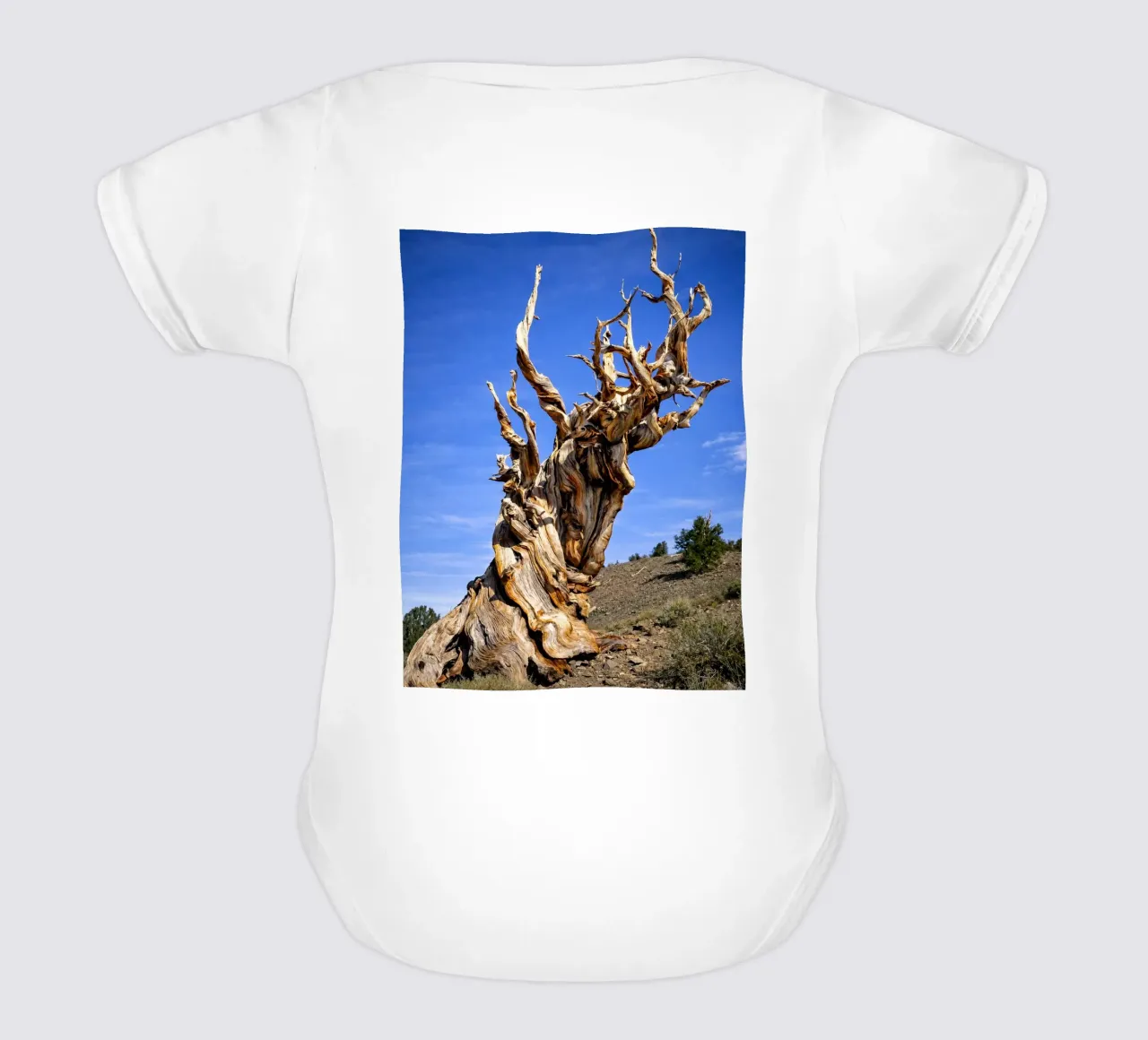 arbre sec body bébé de the gunduls