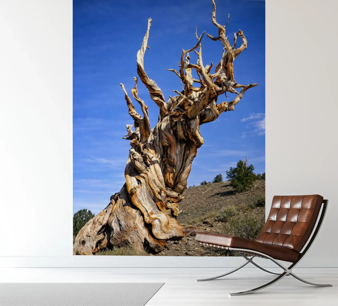 dry tree fotobehang van the gunduls