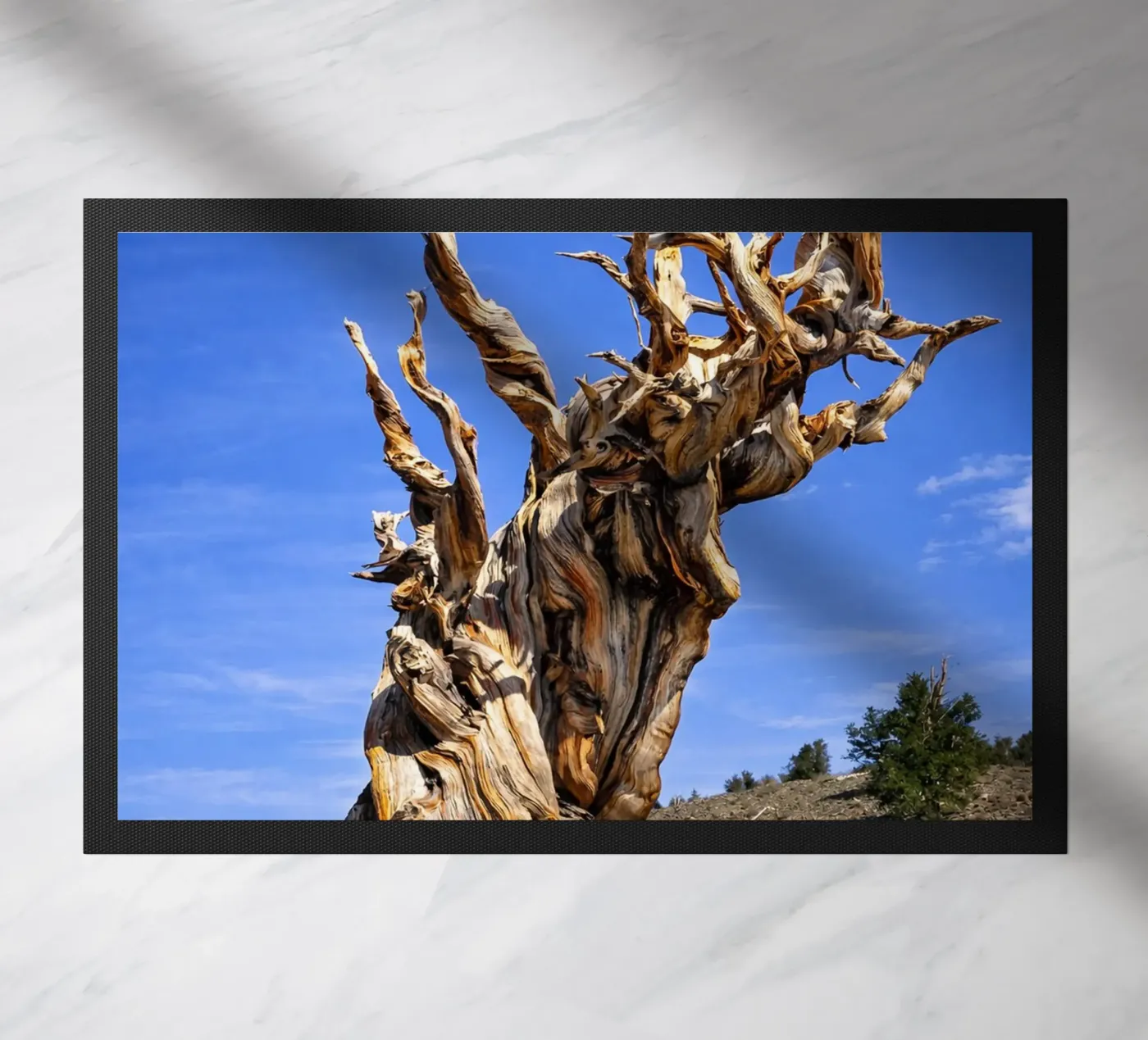 albero secco zerbino da the gunduls