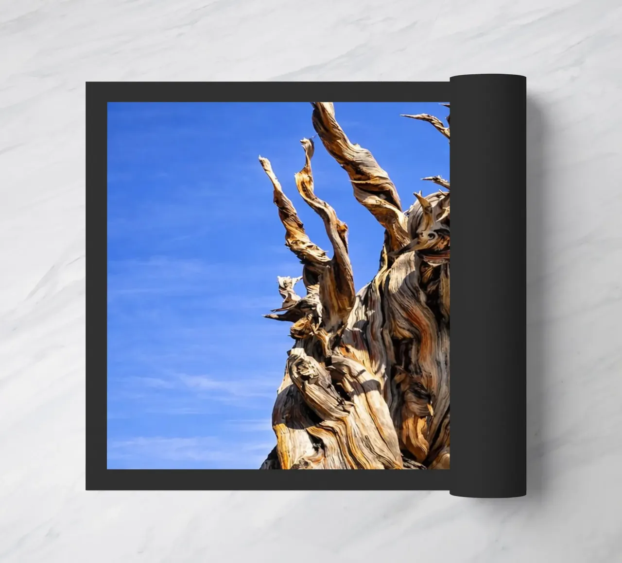 dry tree doormat by the gunduls