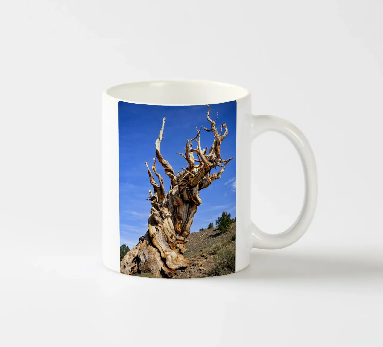 dry tree ceramic mug by the gunduls