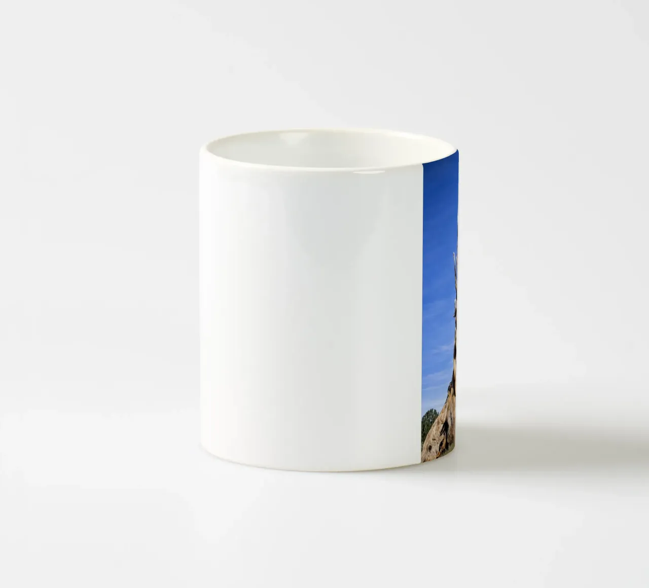 dry tree ceramic mug by the gunduls