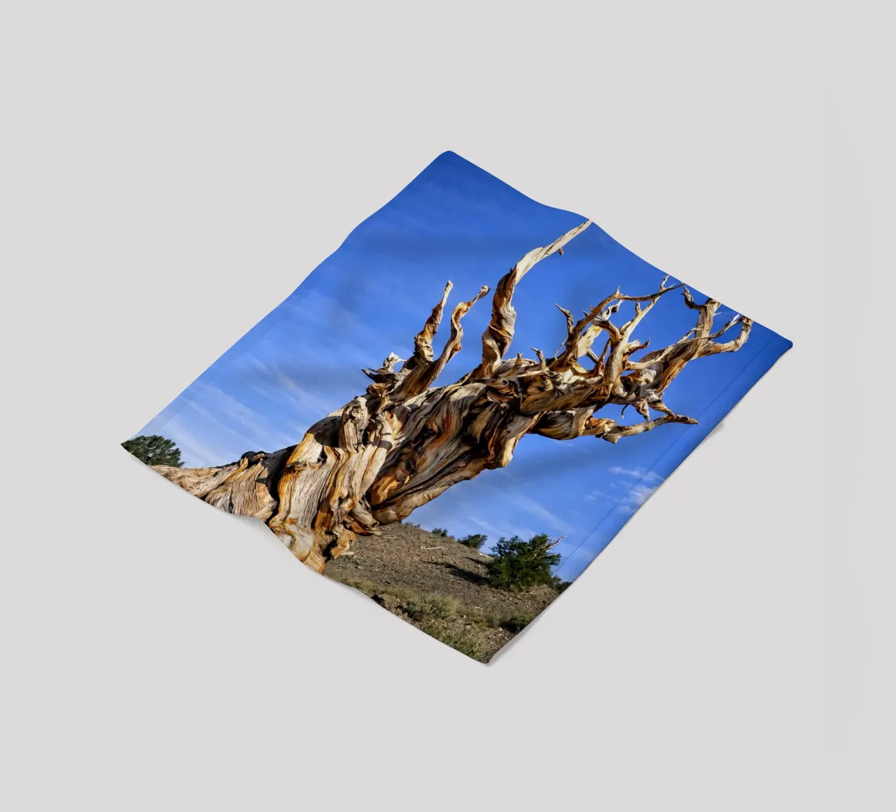 dry tree Fleecedecke von the gunduls