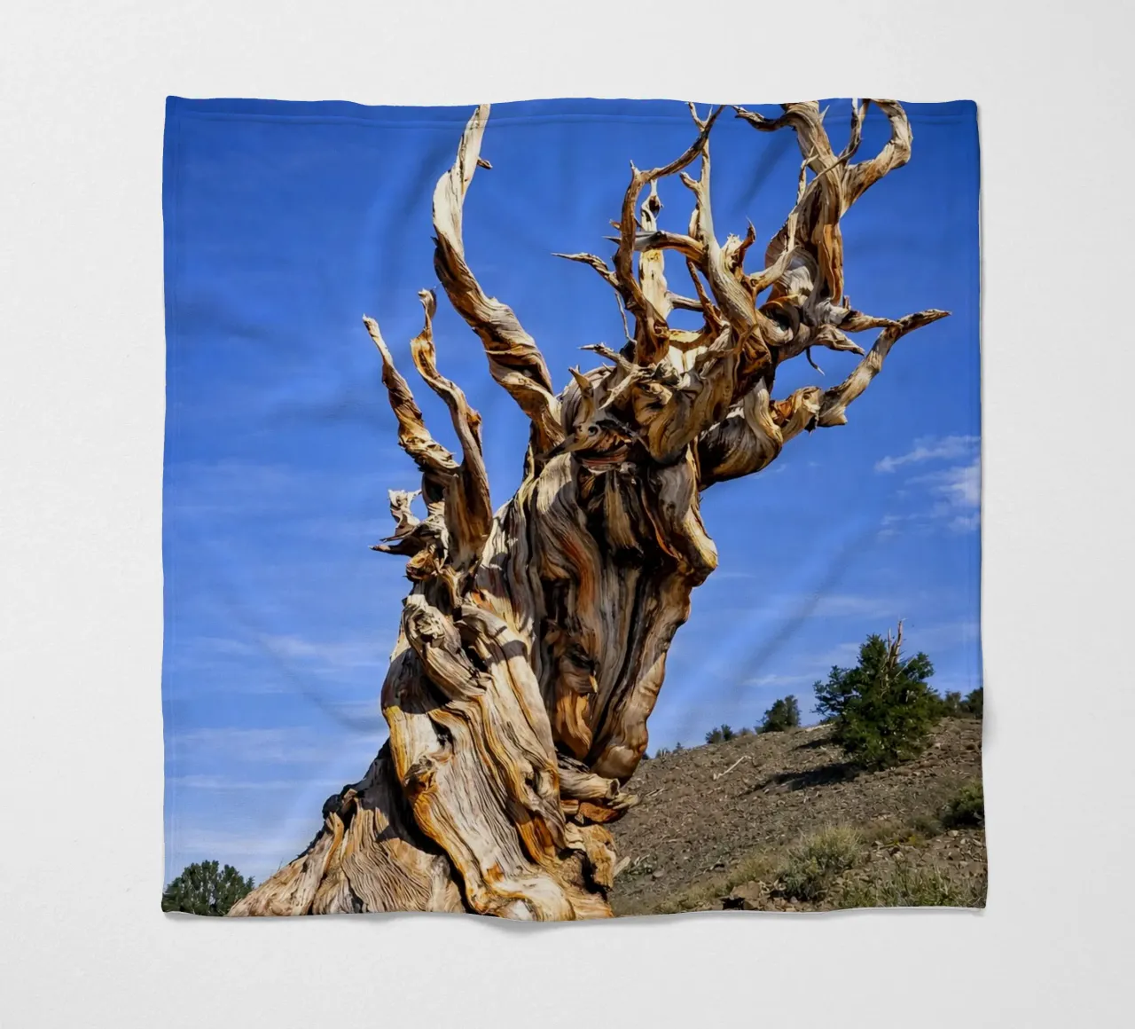 dry tree Fleecedecke von the gunduls