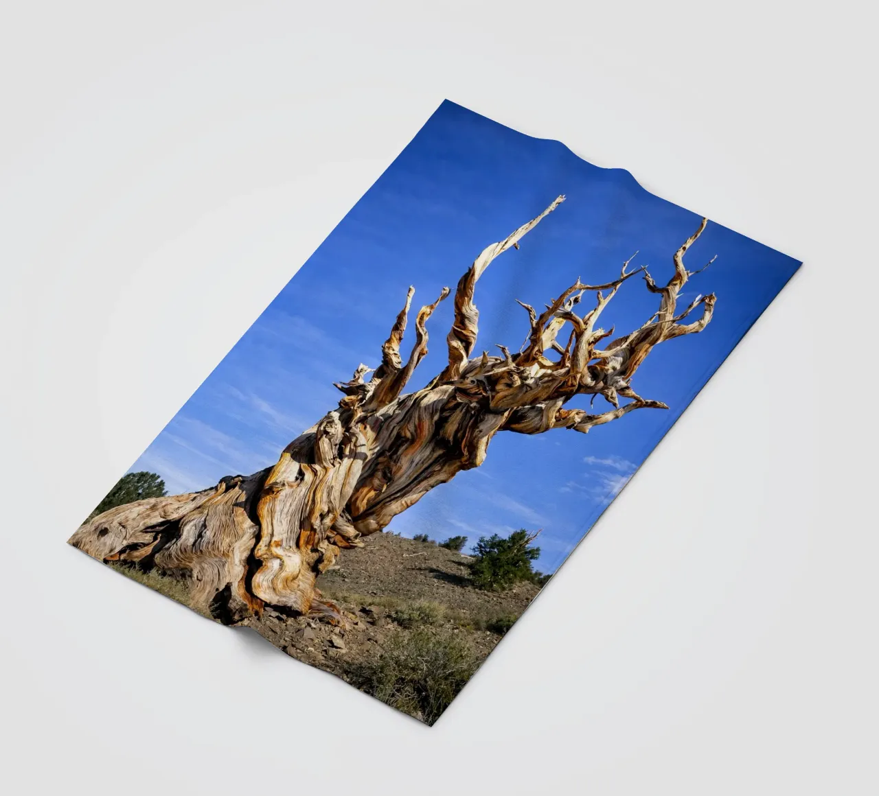 dry tree Fleecedecke von the gunduls