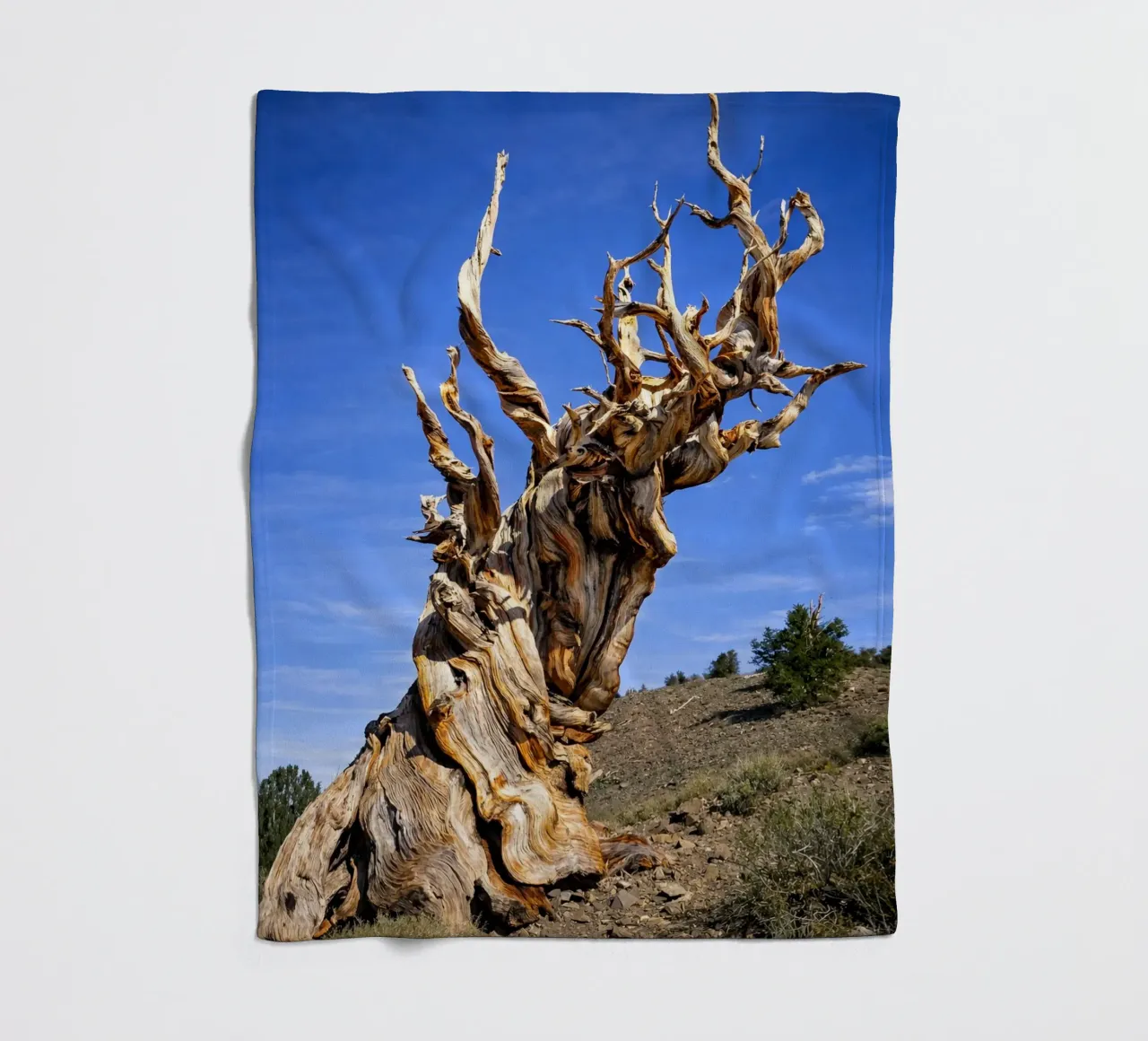 dry tree Fleecedecke von the gunduls