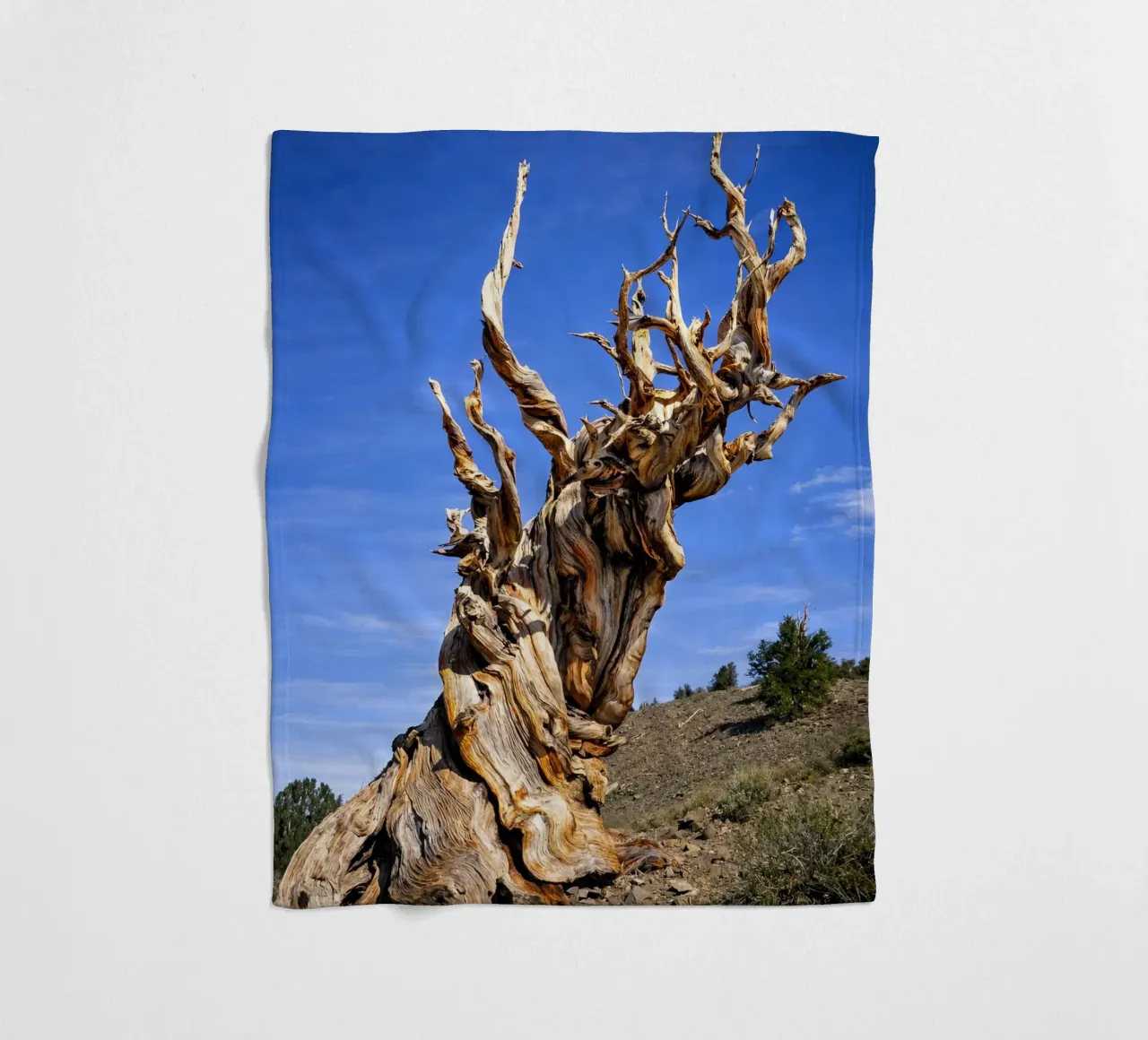 dry tree Fleecedecke von the gunduls