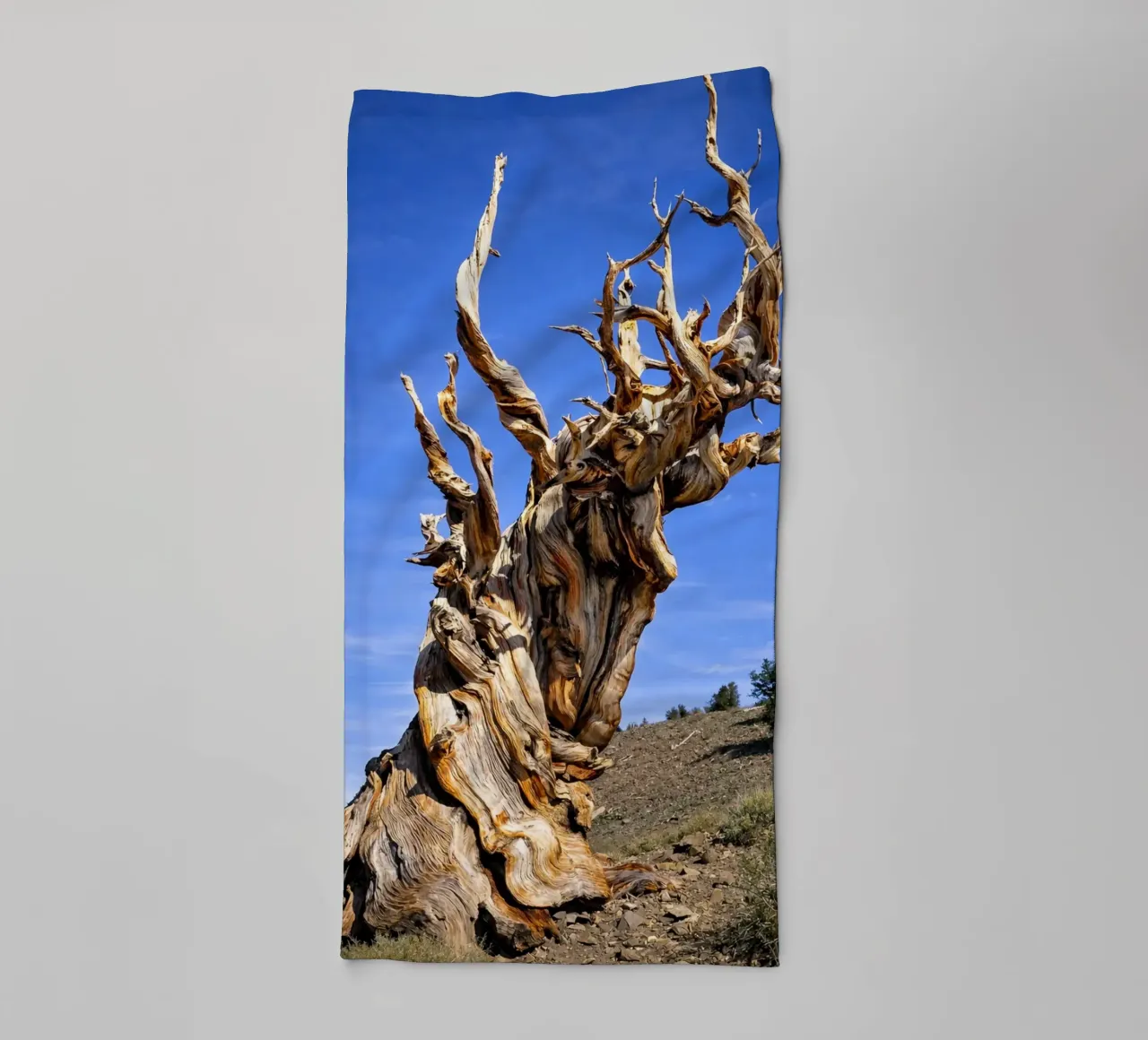 dry tree towel by the gunduls