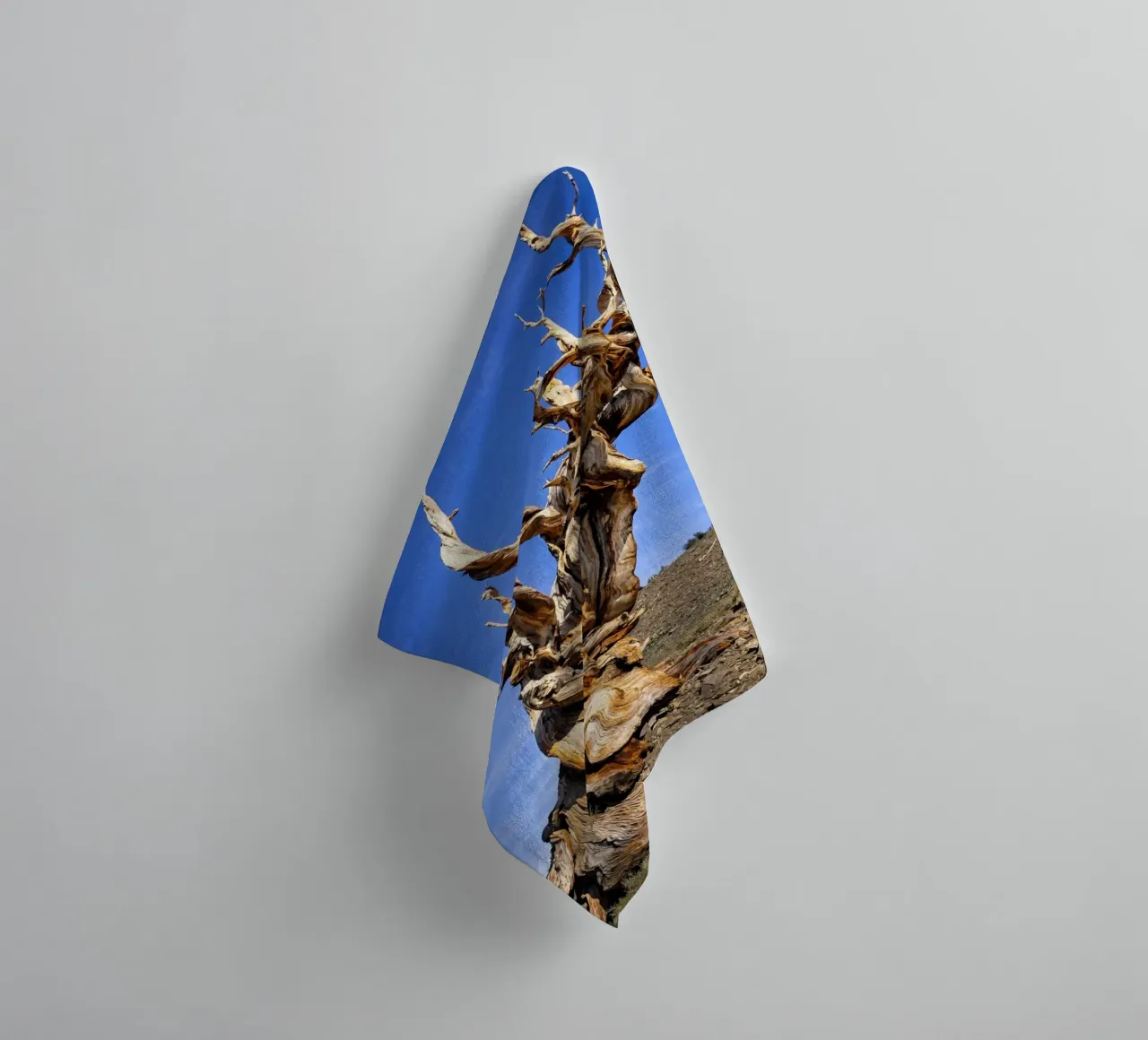 dry tree towel by the gunduls