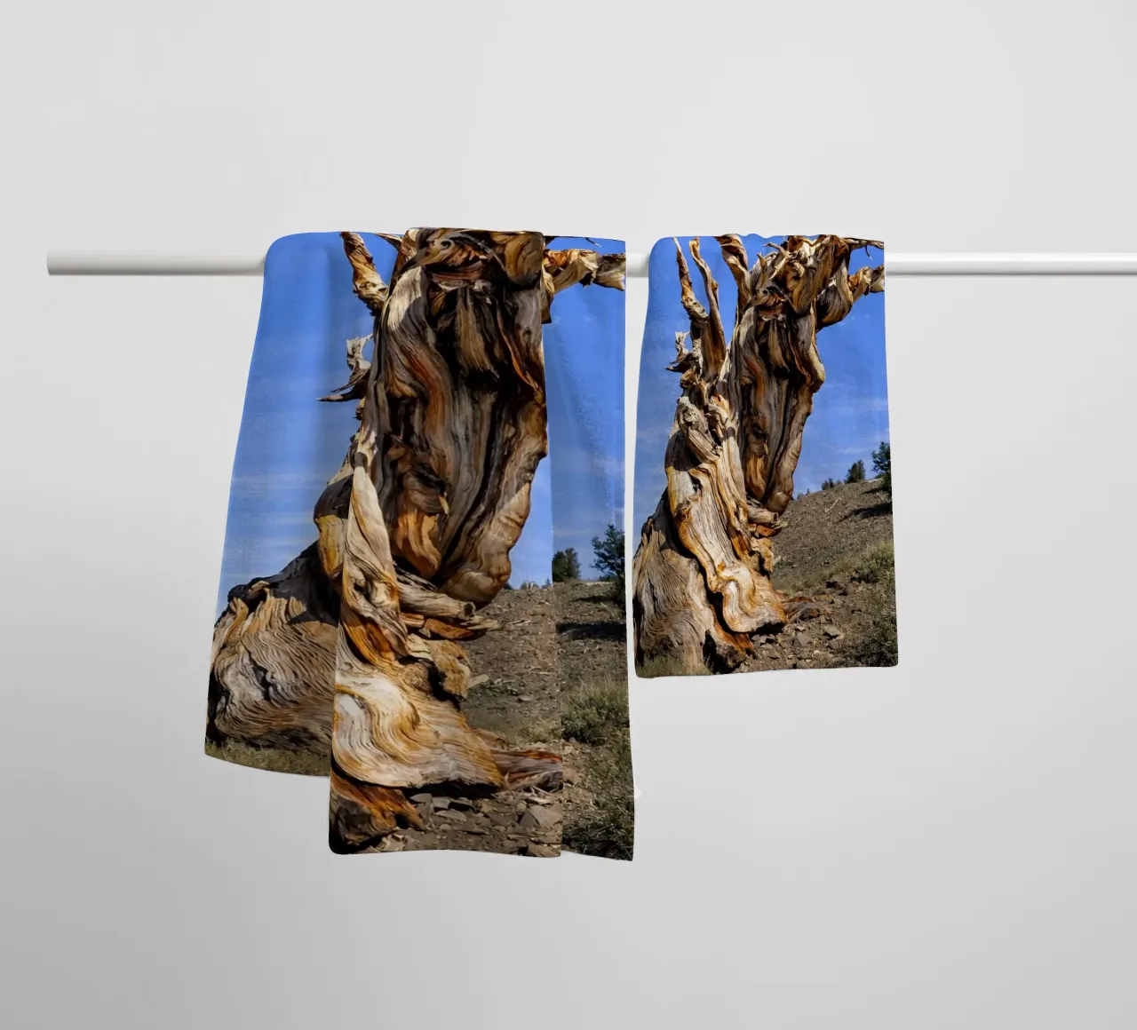 dry tree towel by the gunduls