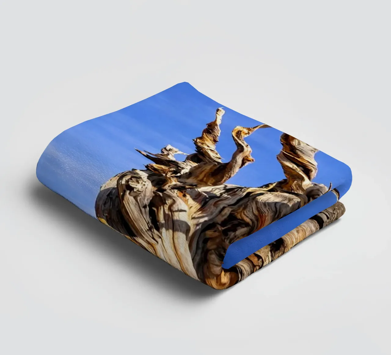 dry tree towel by the gunduls