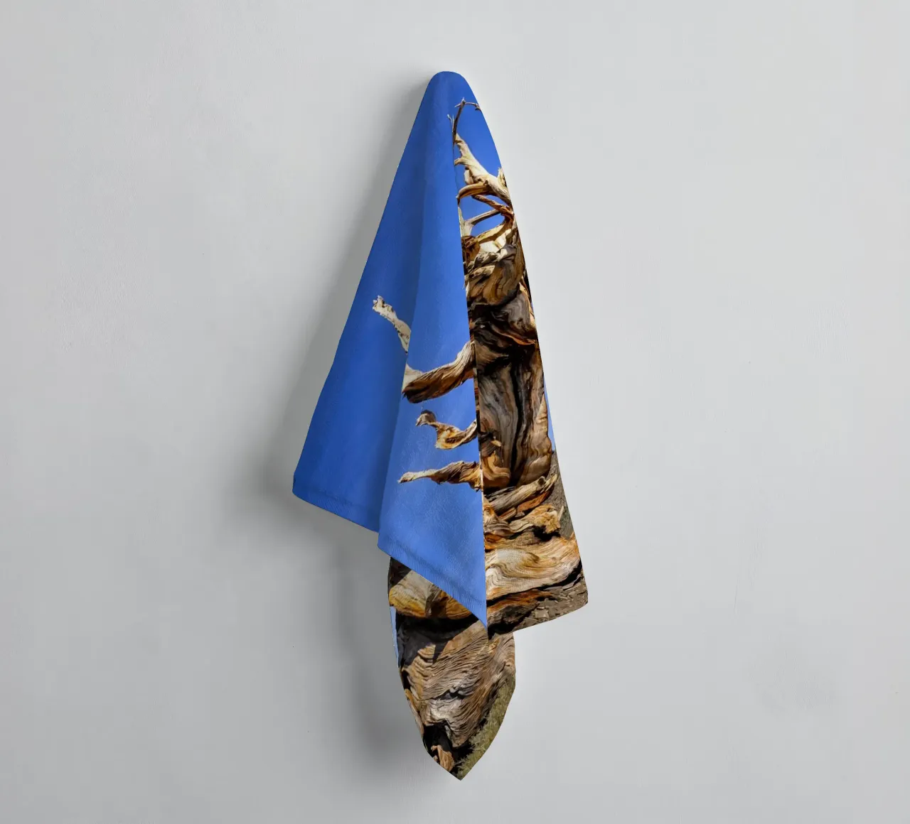 dry tree towel by the gunduls