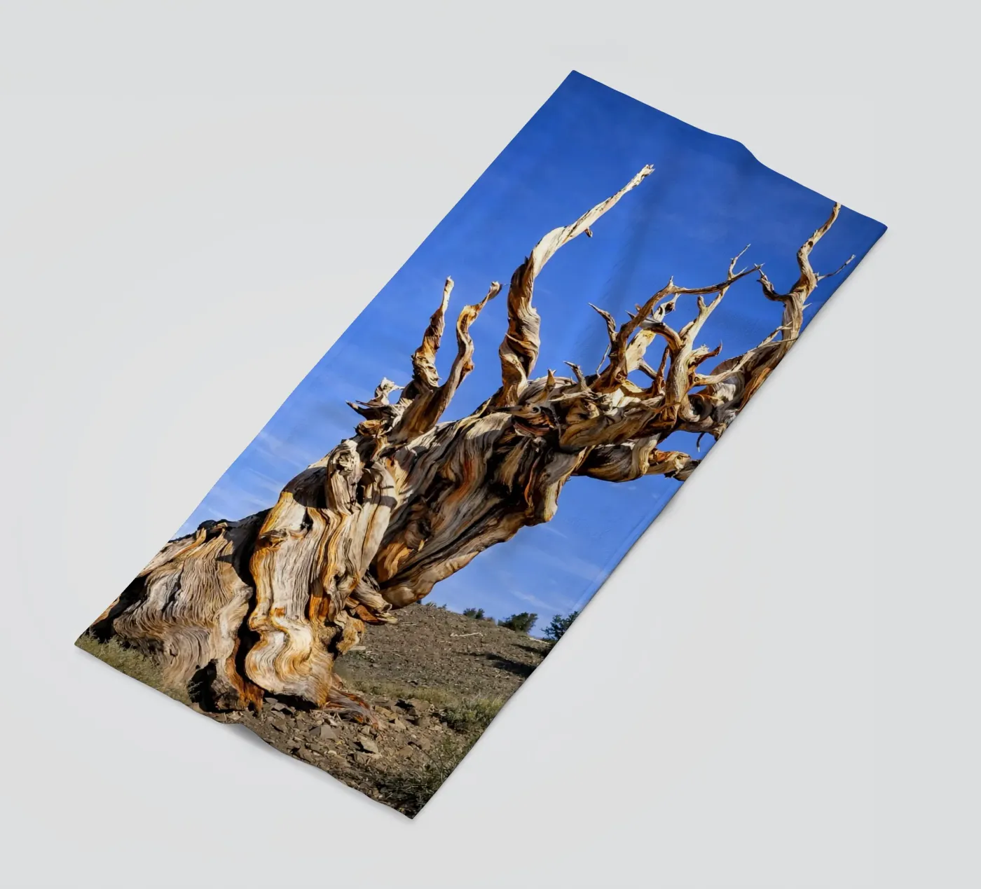 dry tree beach towel by the gunduls