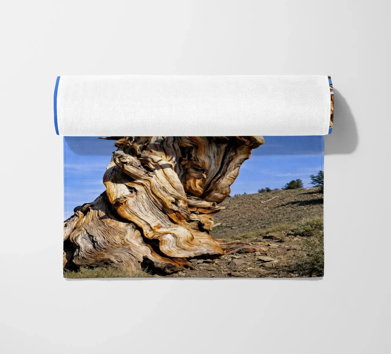 dry tree Strandtuch von the gunduls