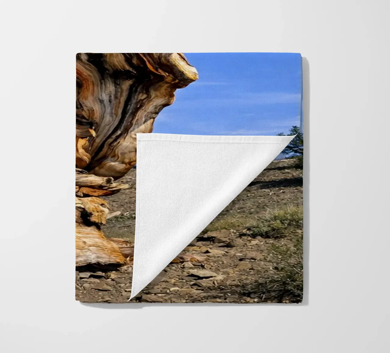 dry tree Strandtuch von the gunduls