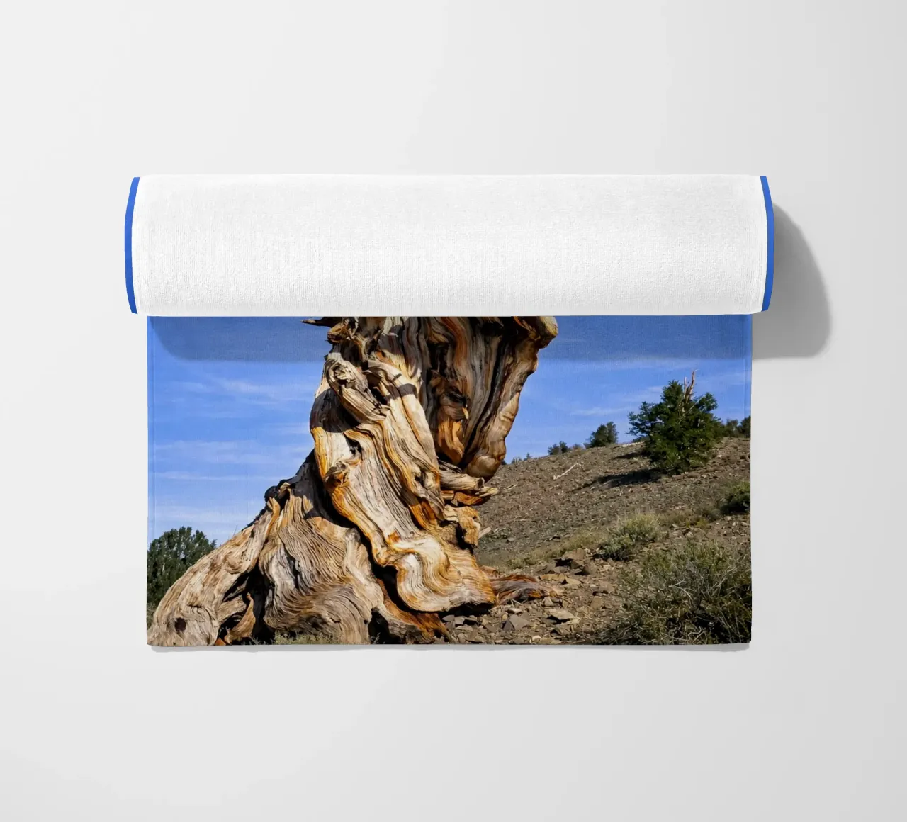 dry tree Strandtuch von the gunduls