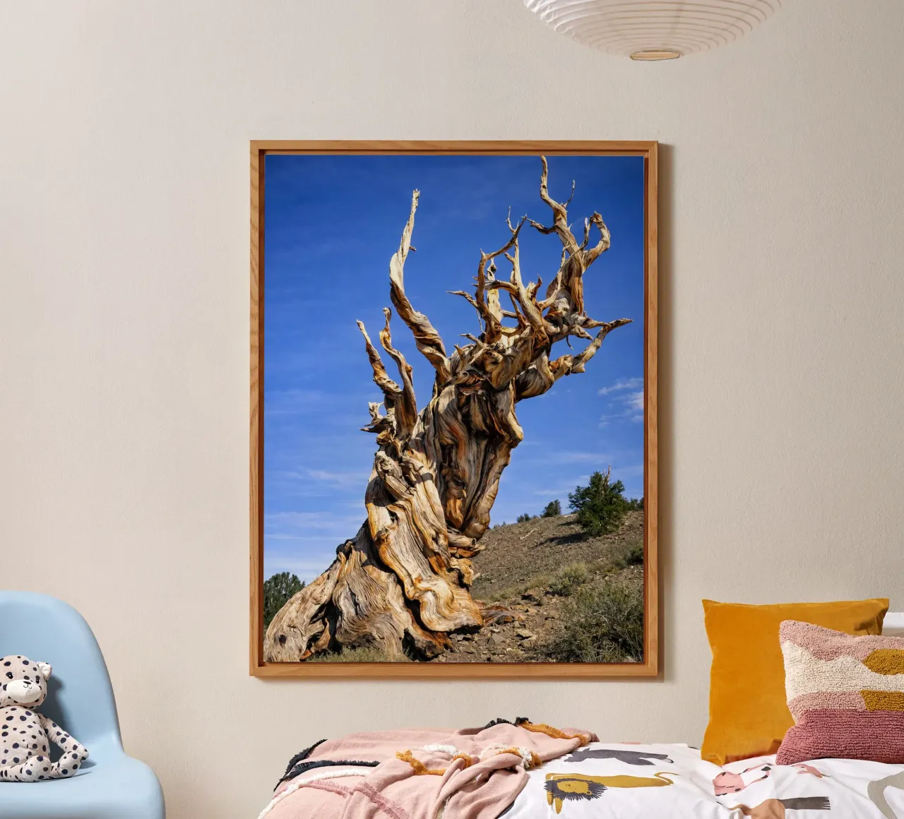 dry tree forex plate by the gunduls