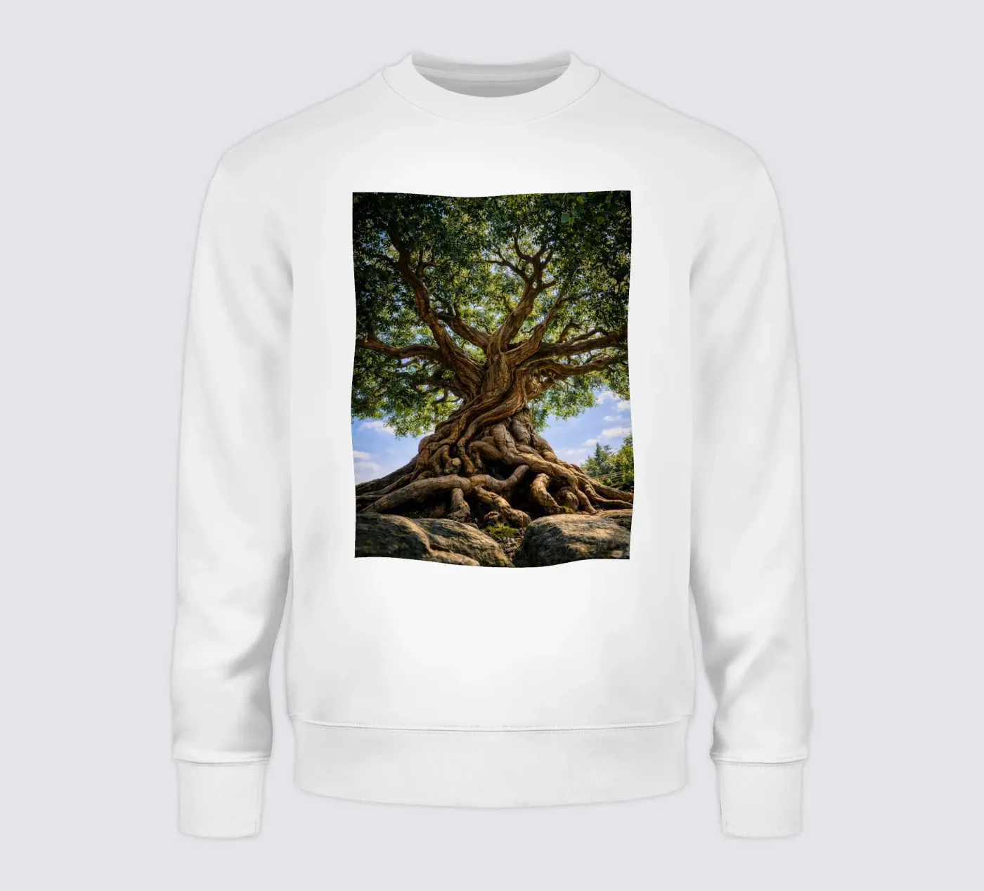 albero secolare felpa da the gunduls