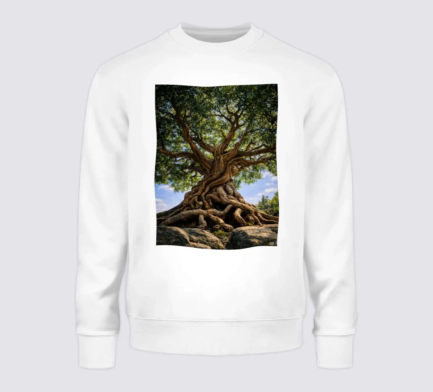 albero secolare felpa da the gunduls
