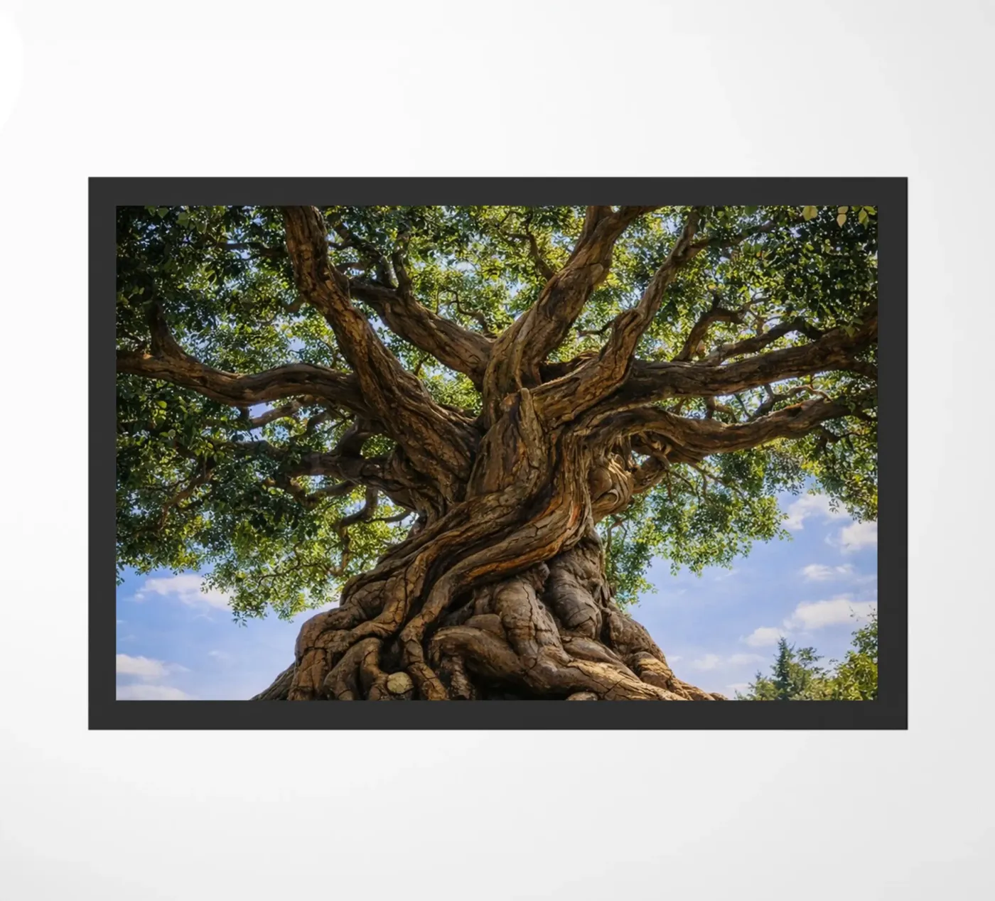 old tree doormat by the gunduls