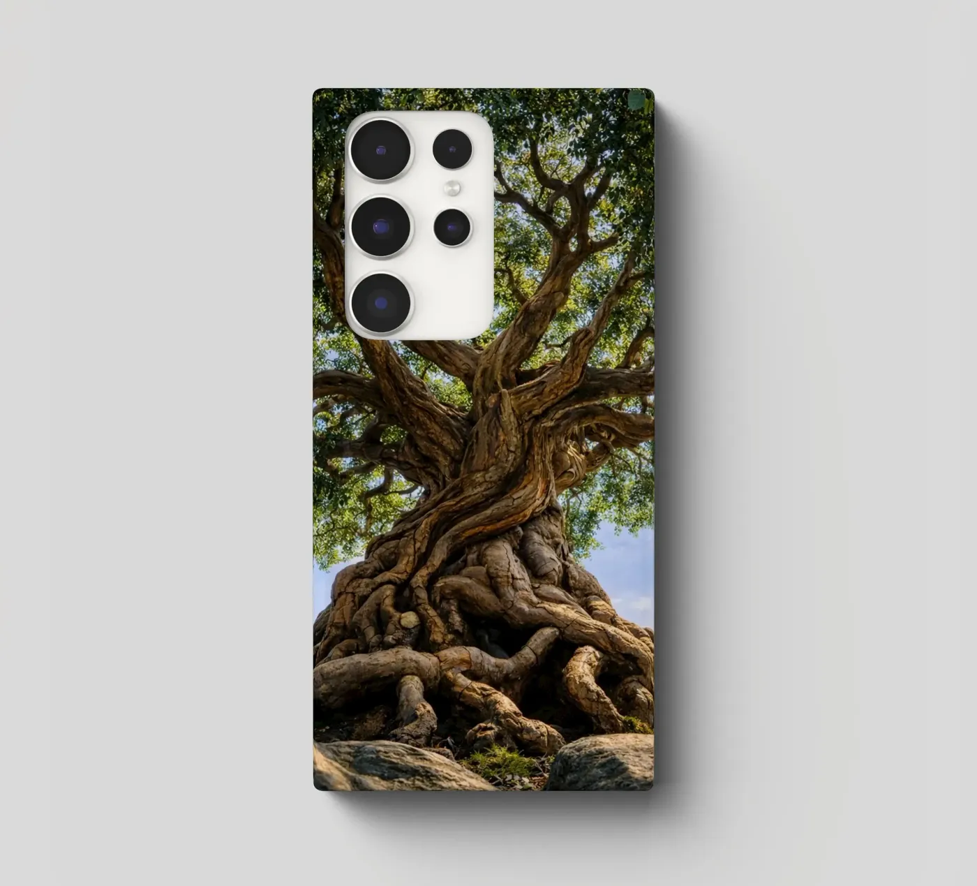 vieil arbre coque samsung de the gunduls