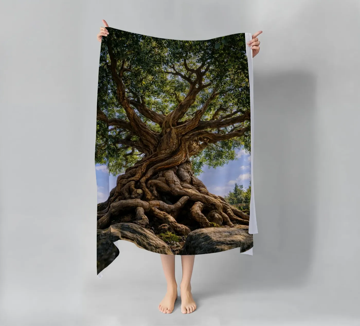 albero secolare telo mare da the gunduls