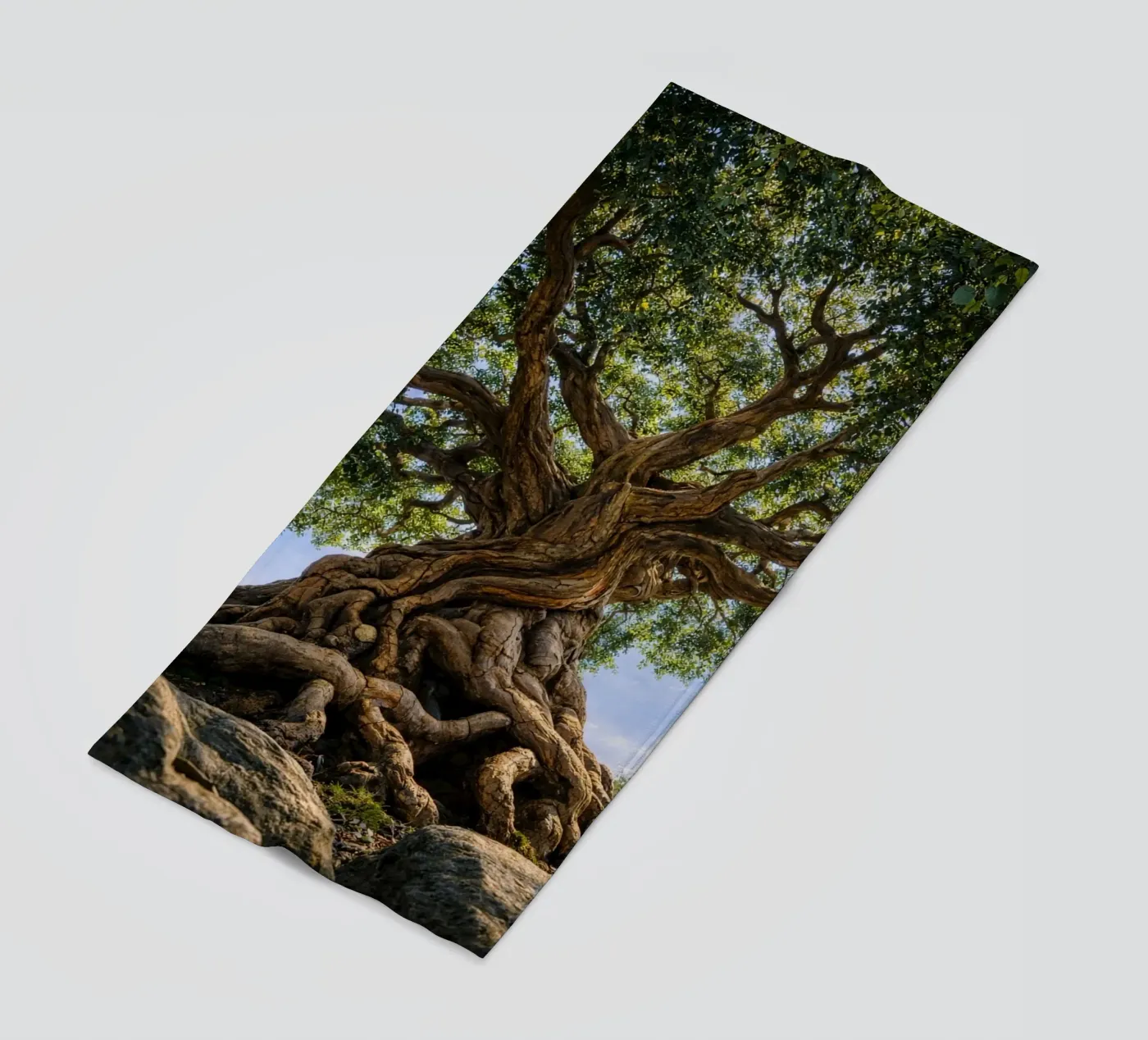 old tree beach towel by the gunduls